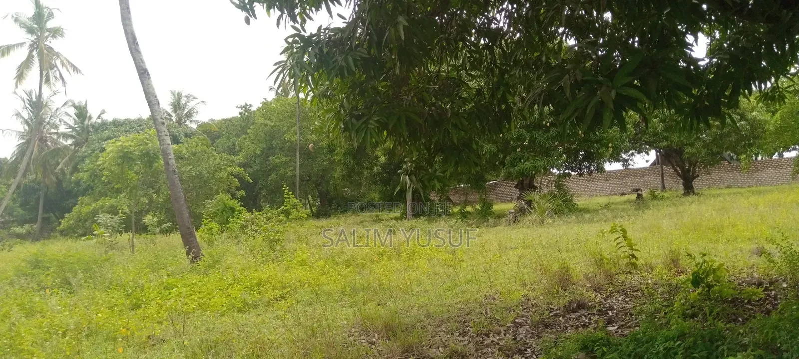Land on Sale Ng'ombeni 4 Acres 1,9m Per Acre in Waa