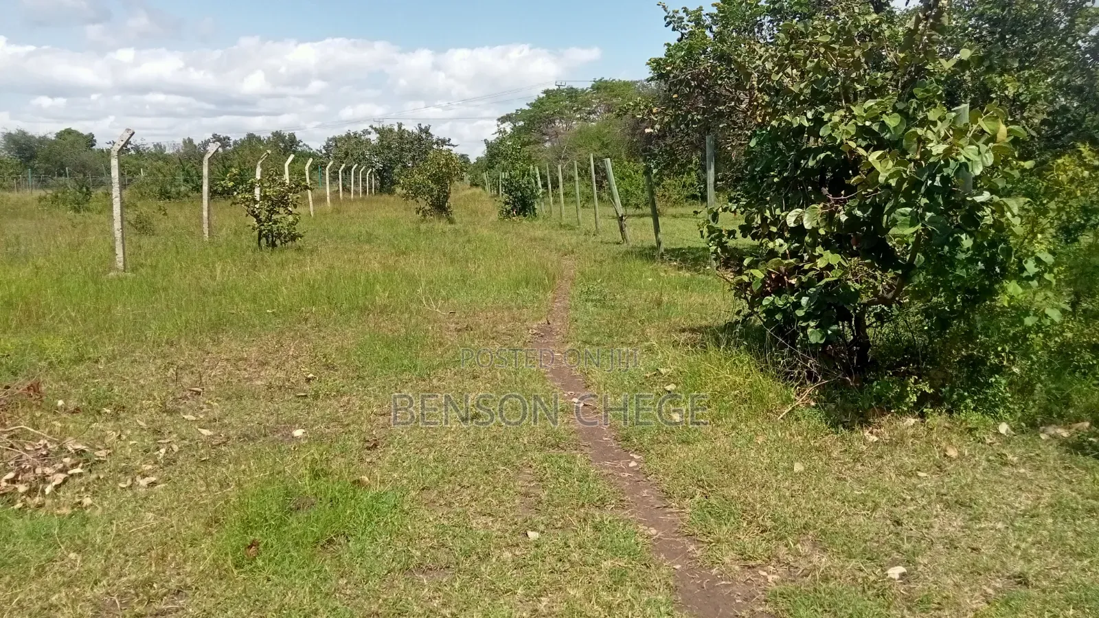 Half an Acre for Sale in Maragua Ridge in Kambiti
