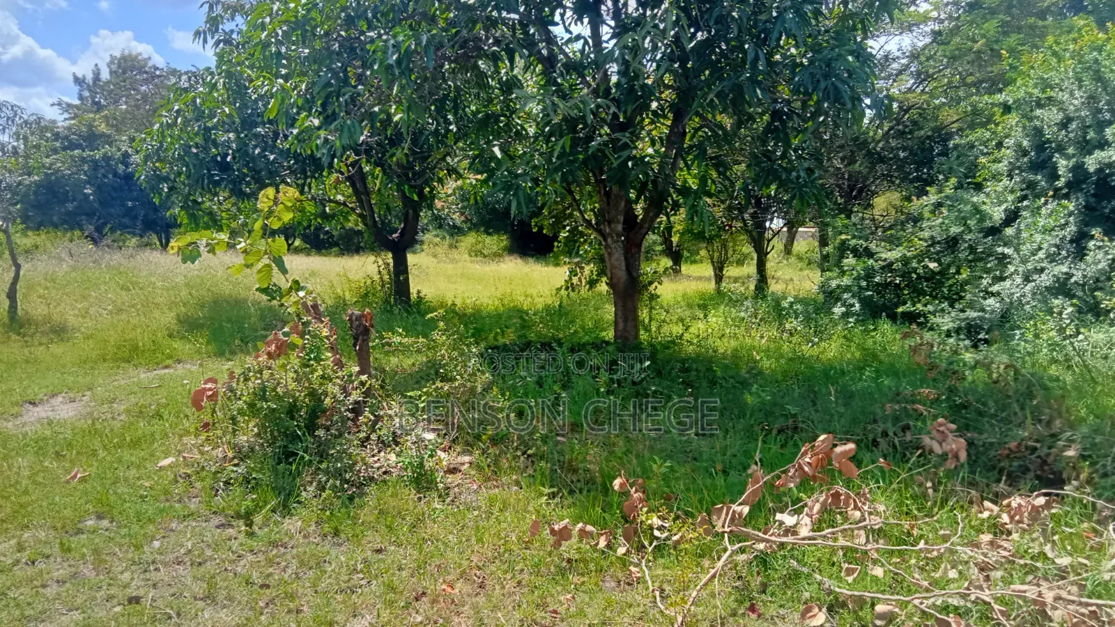 Half an Acre for Sale in Maragua Ridge in Kambiti