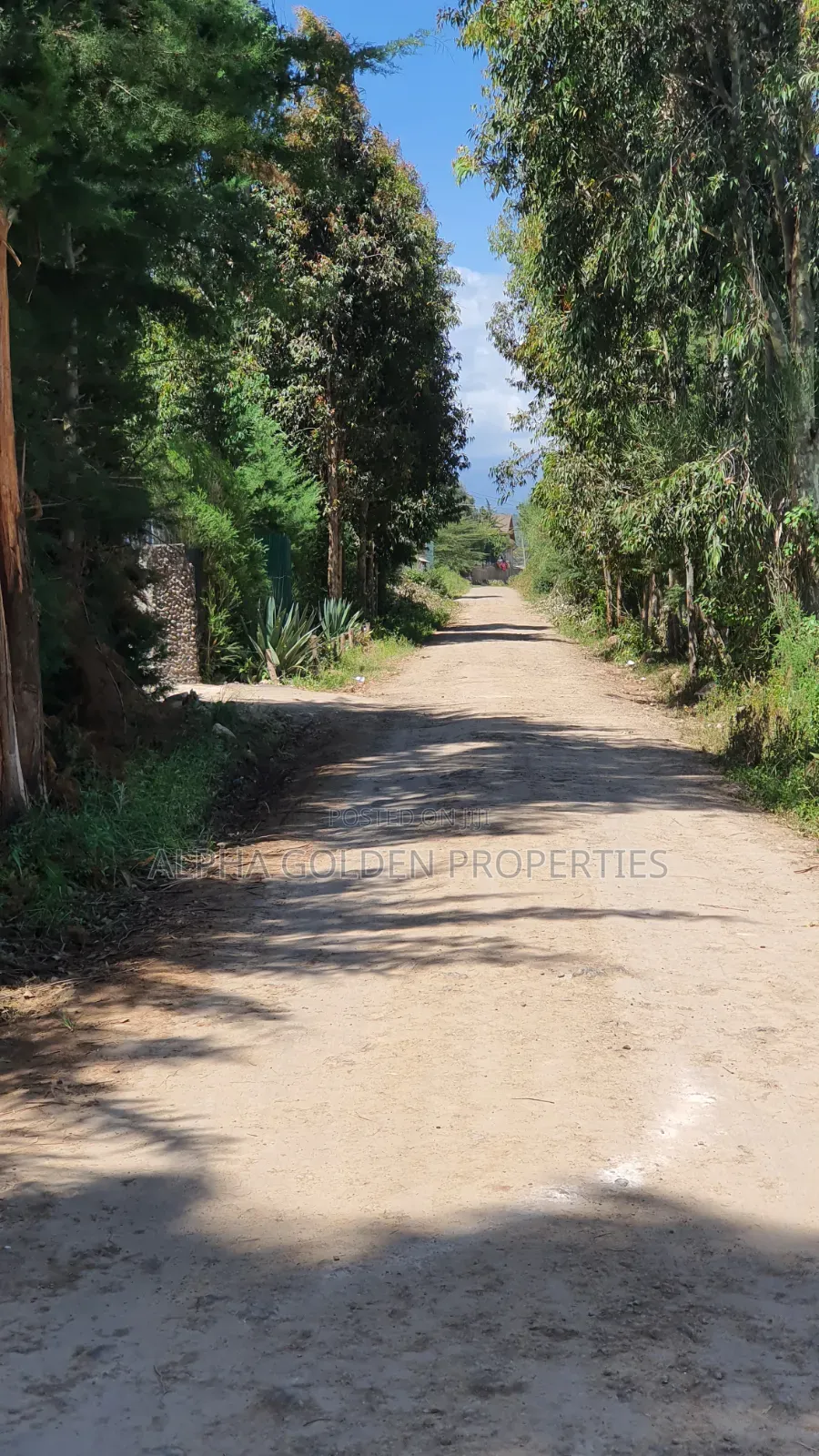 3 Acres in Nanyuki Airfield in Nanyuki