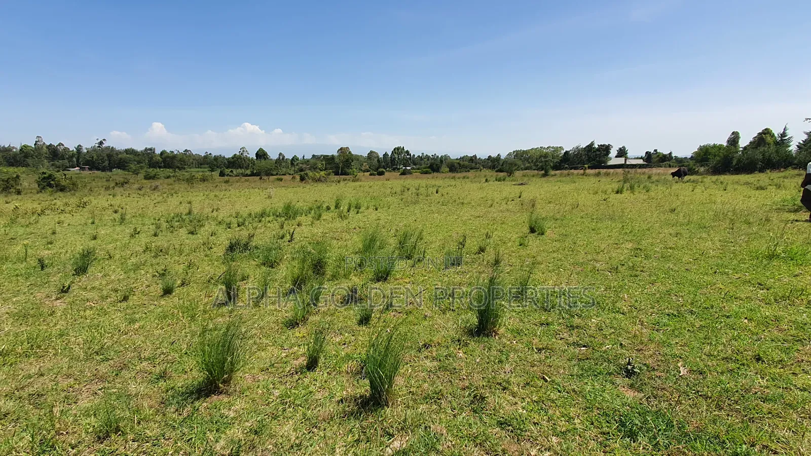 3 Acres in Nanyuki Airfield in Nanyuki