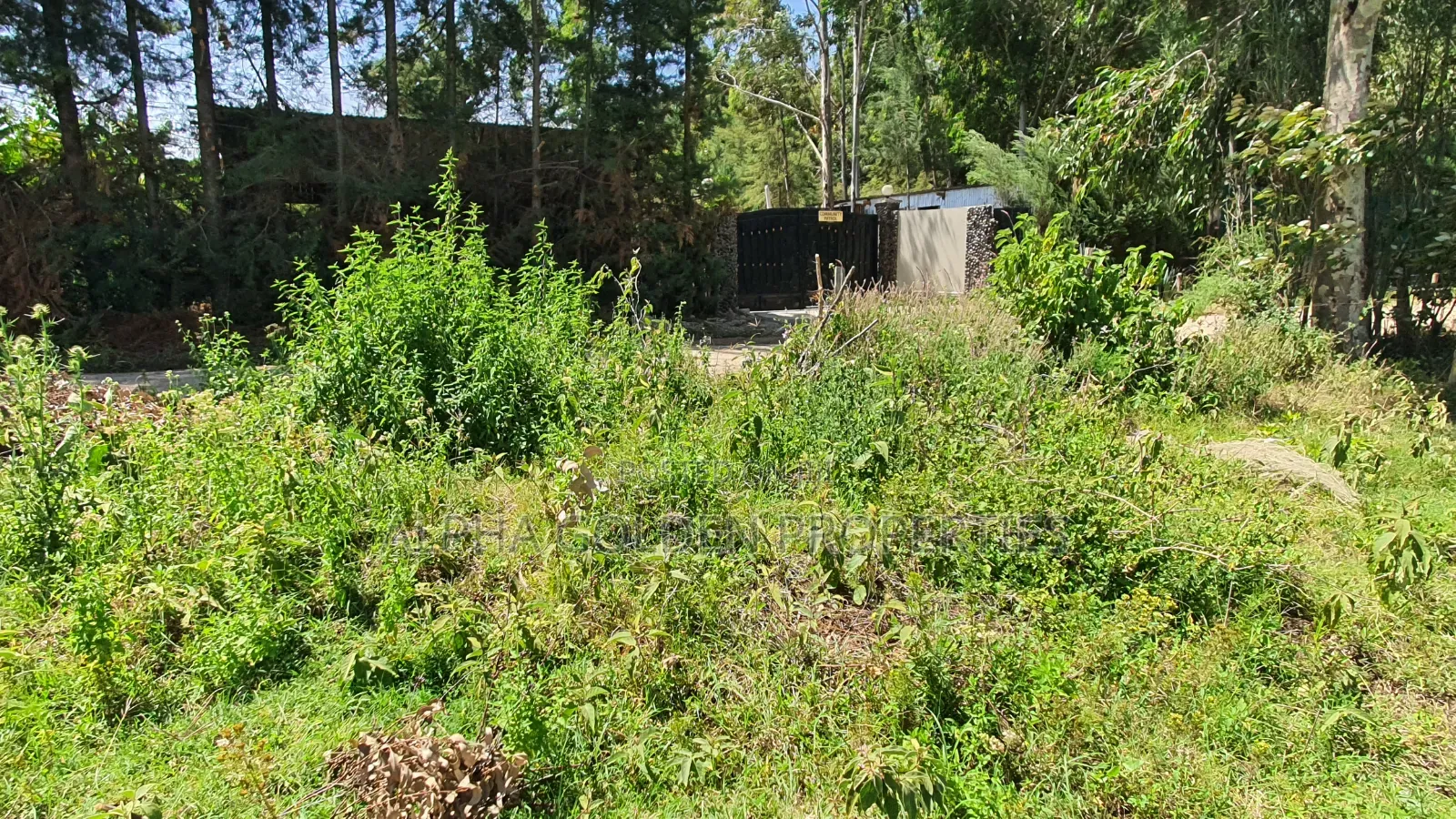 3 Acres in Nanyuki Airfield in Nanyuki