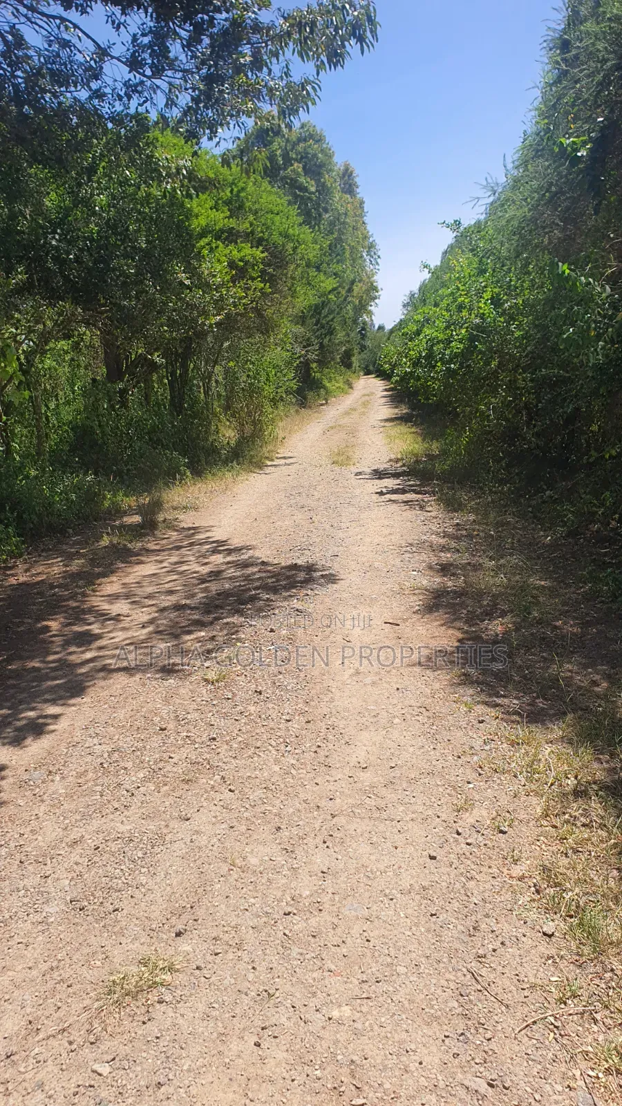 1 Acre in Airstrip Area in Nanyuki