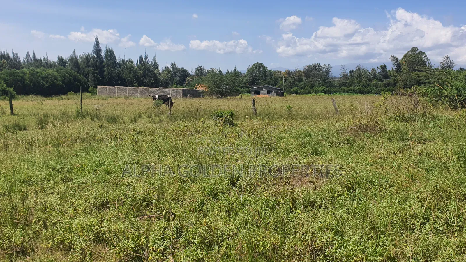 1 Acre in Airstrip Area in Nanyuki