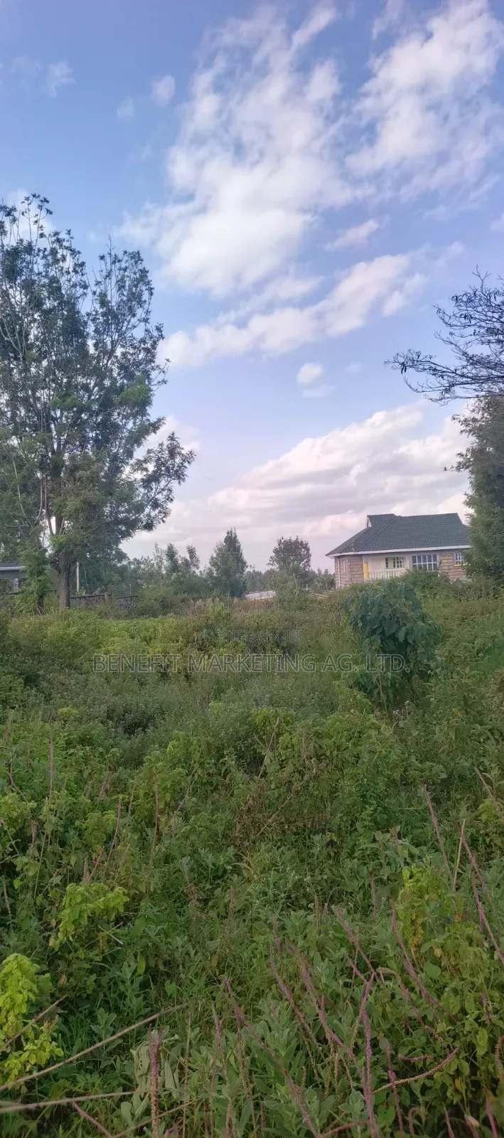 Half Acre Plot for Sale in Ngong Matasia Merisho Road in Merisho
