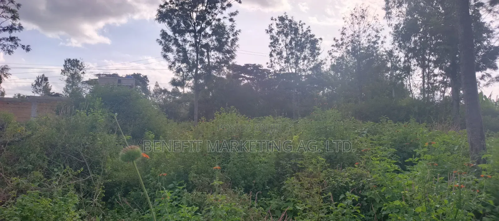 Half Acre Plot for Sale in Ngong Matasia Merisho Road in Merisho