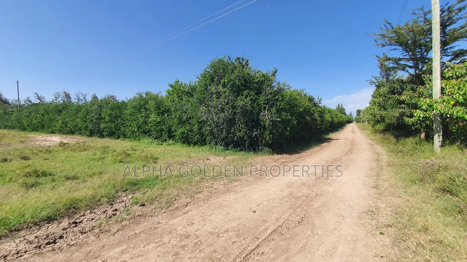 2 Acres Near Olpajeta in Nanyuki