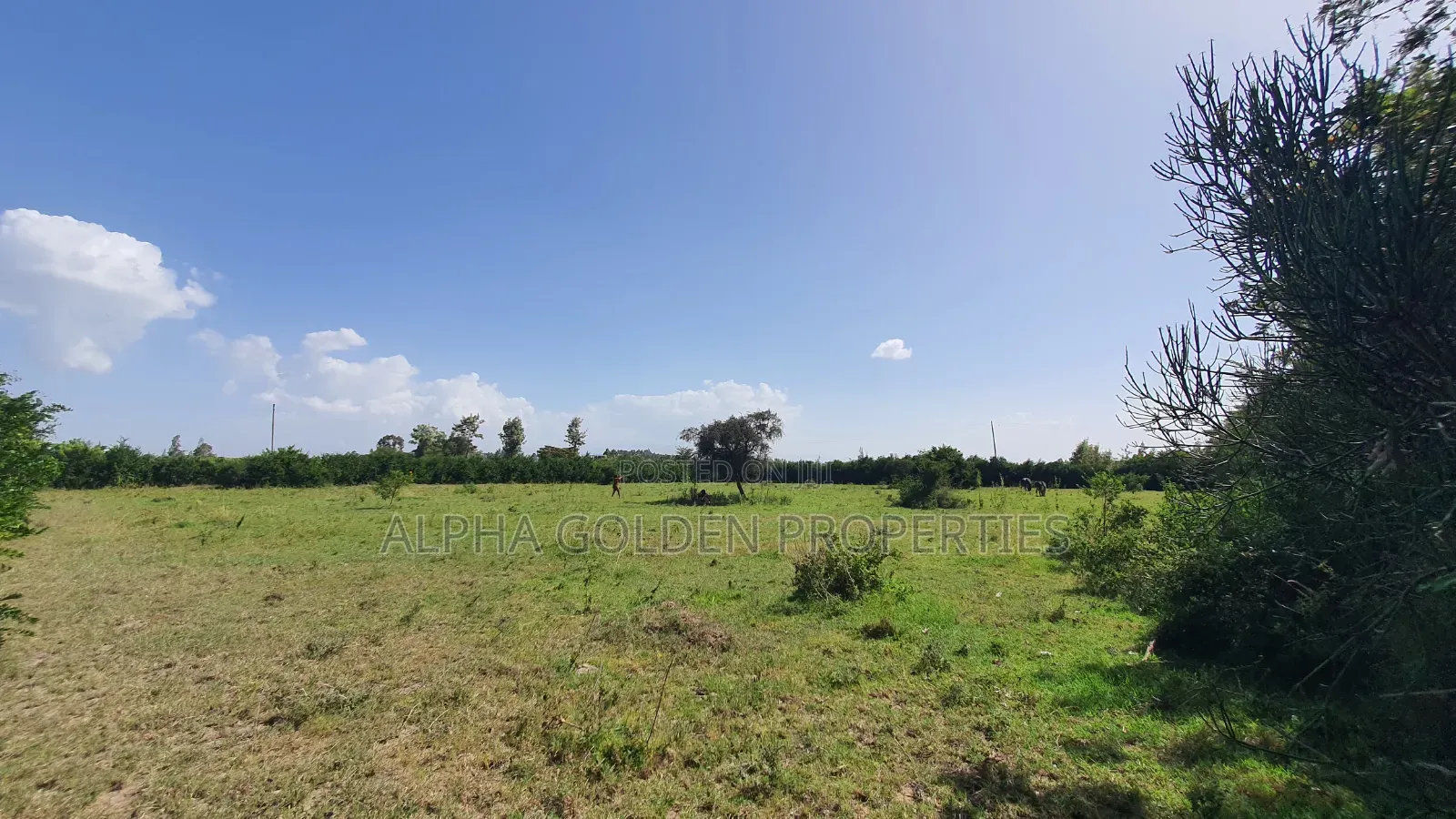 2 Acres Near Olpajeta in Nanyuki