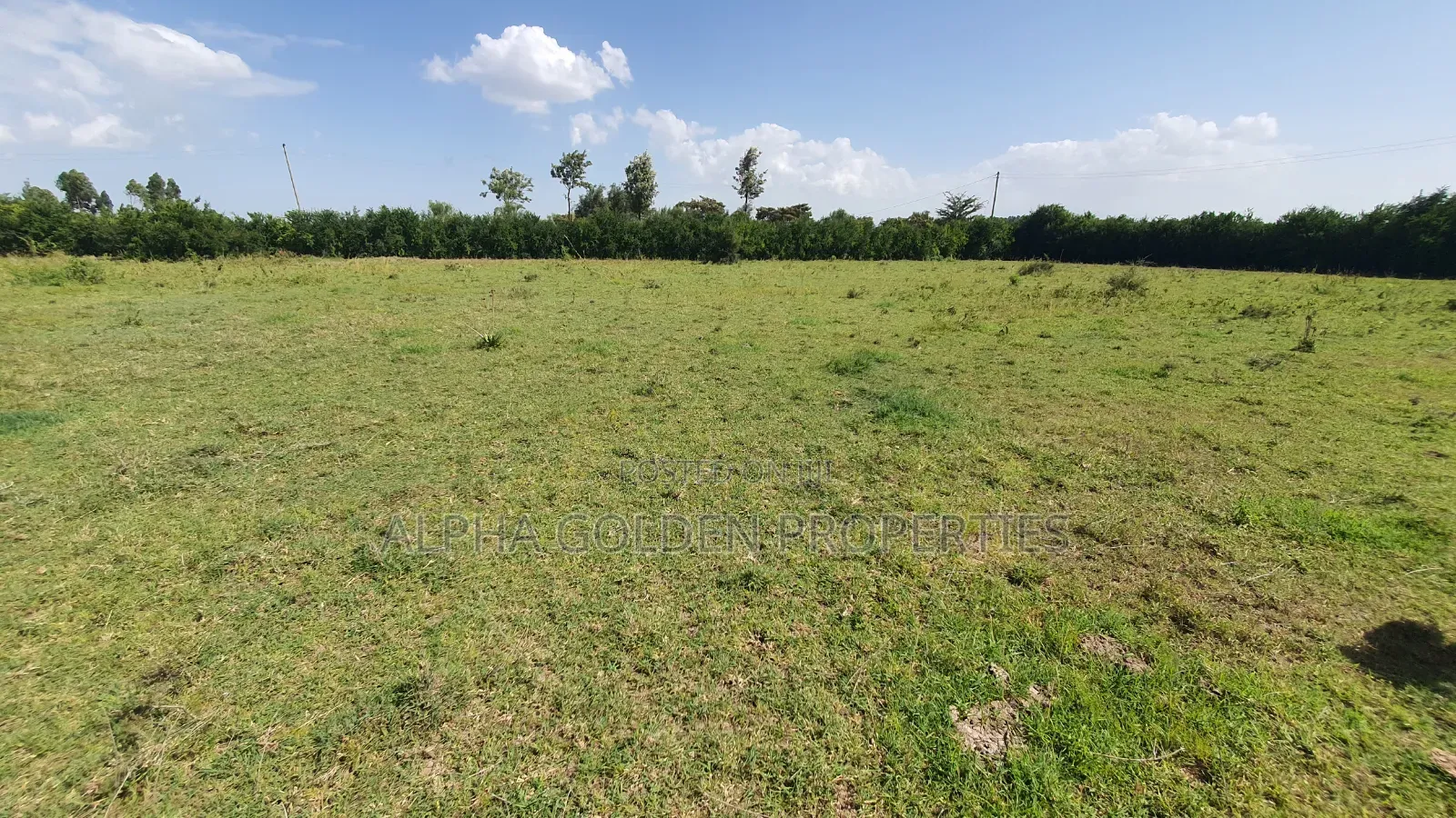 2 Acres Near Olpajeta in Nanyuki
