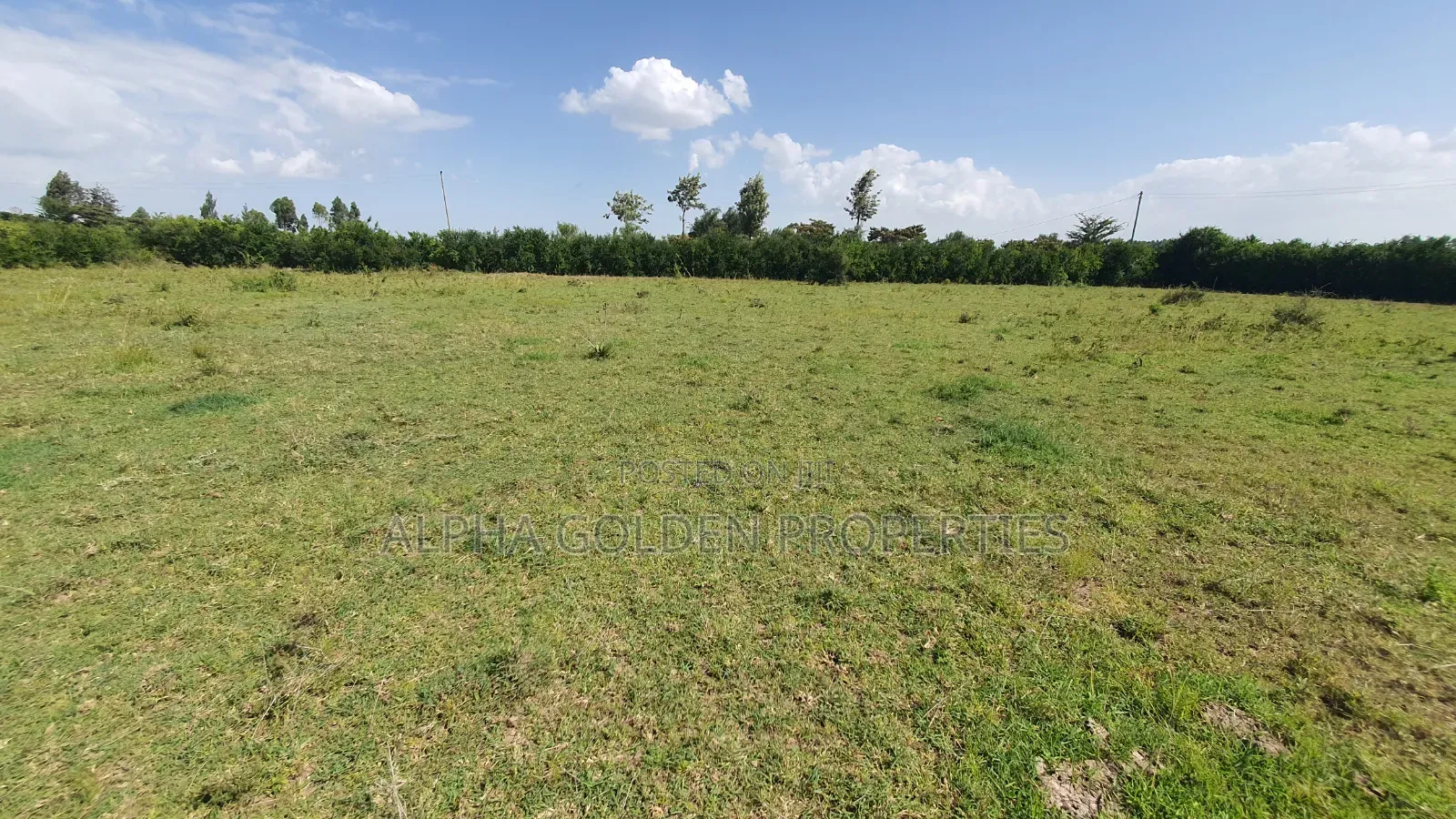 2 Acres Near Olpajeta in Nanyuki