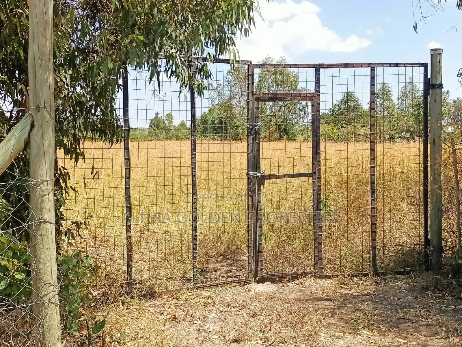 3.5 Acres on Sale Nanyuki [ Mirera ] in Gakawa