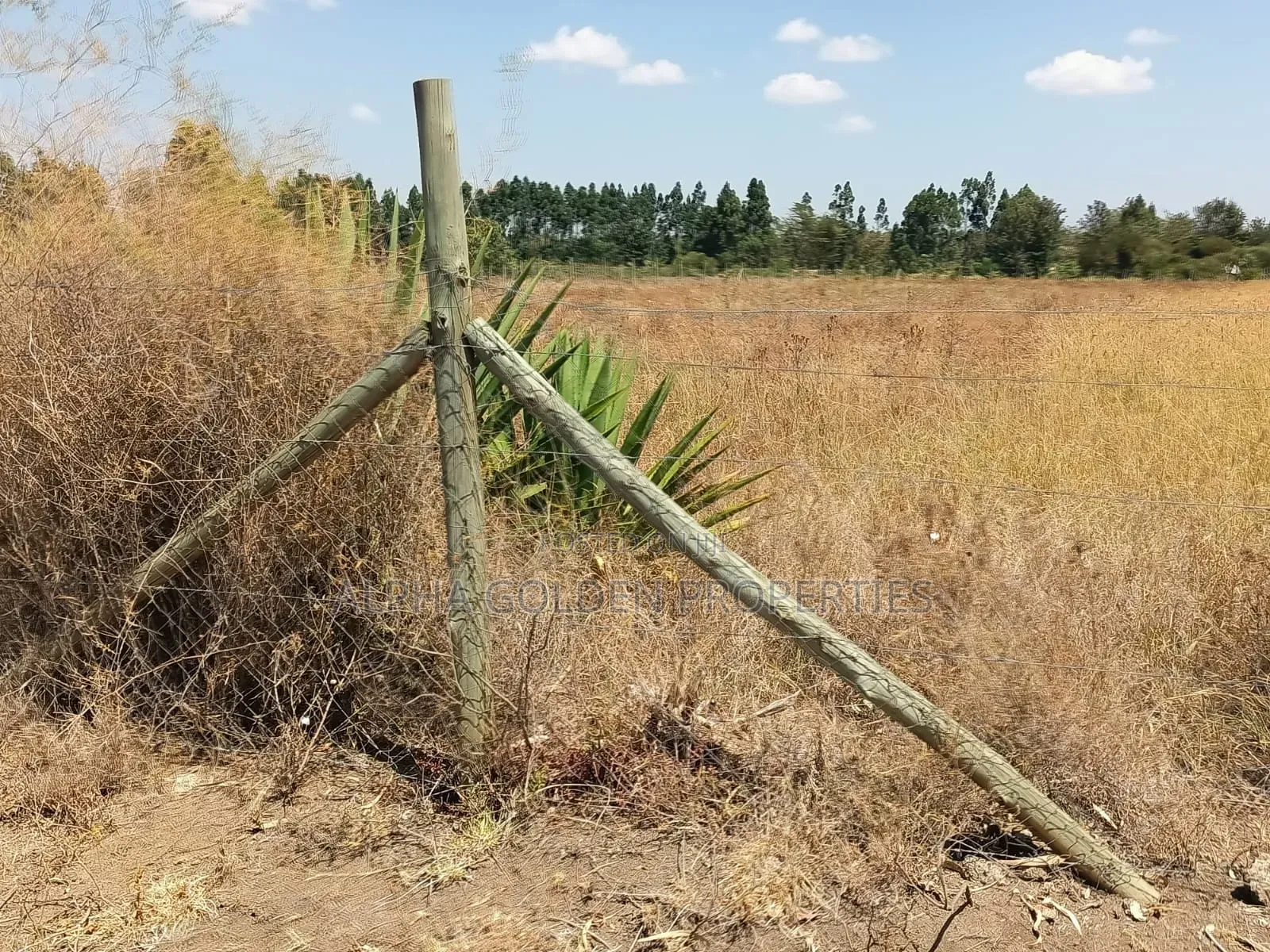 3.5 Acres on Sale Nanyuki [ Mirera ] in Gakawa