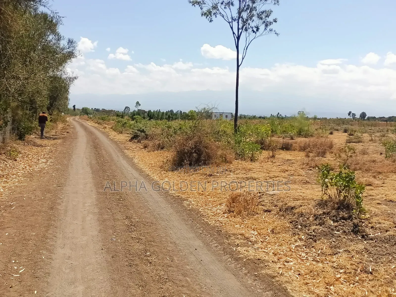 3.5 Acres on Sale Nanyuki [ Mirera ] in Gakawa