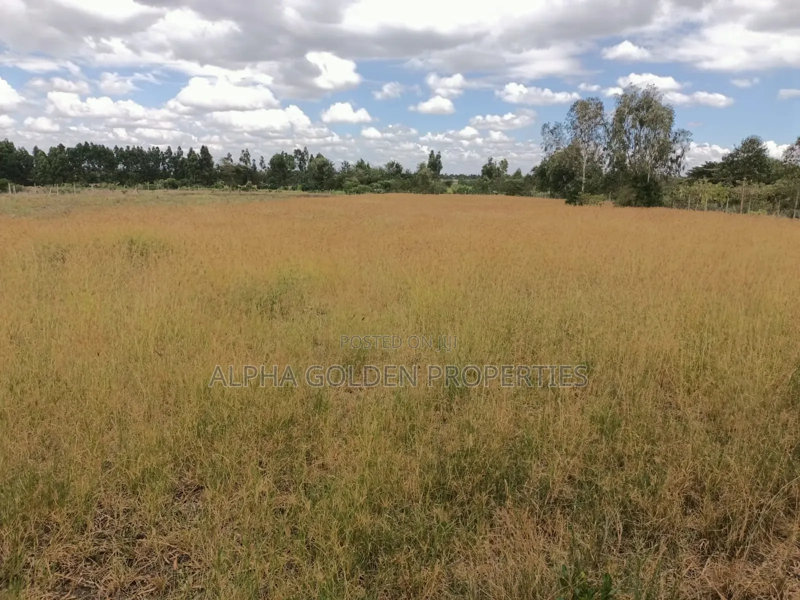 3.5 Acres on Sale Nanyuki [ Mirera ] in Gakawa