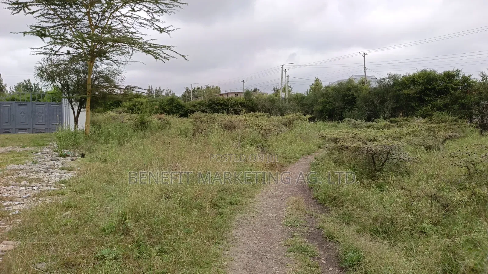 Quarter Acre Plots for Sale in Kitengela Milimani in Kitengela