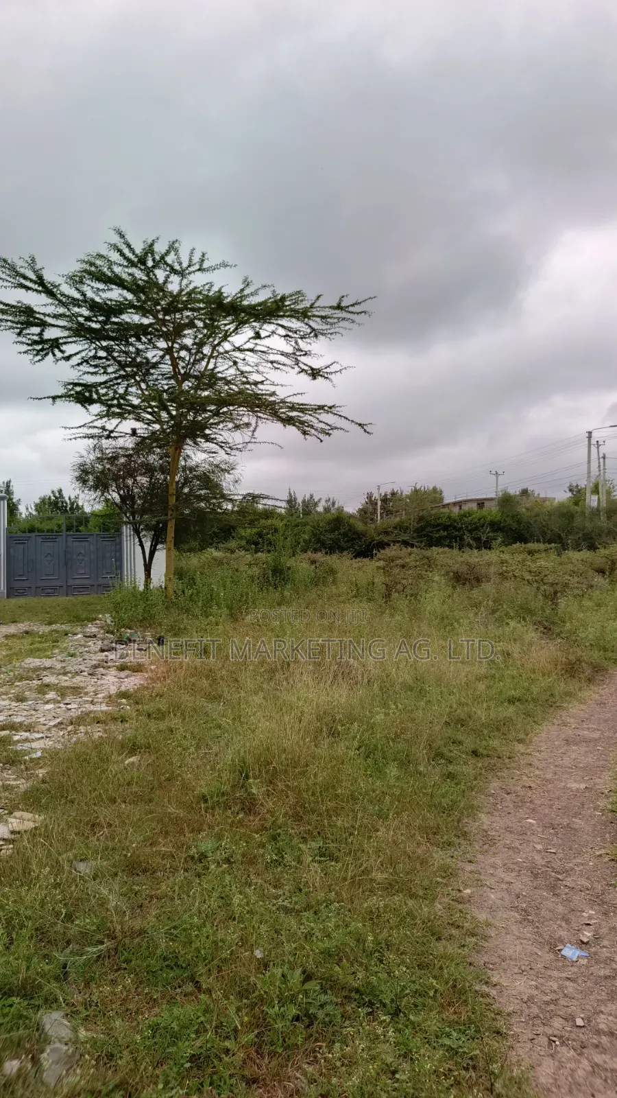 Quarter Acre Plots for Sale in Kitengela Milimani in Kitengela