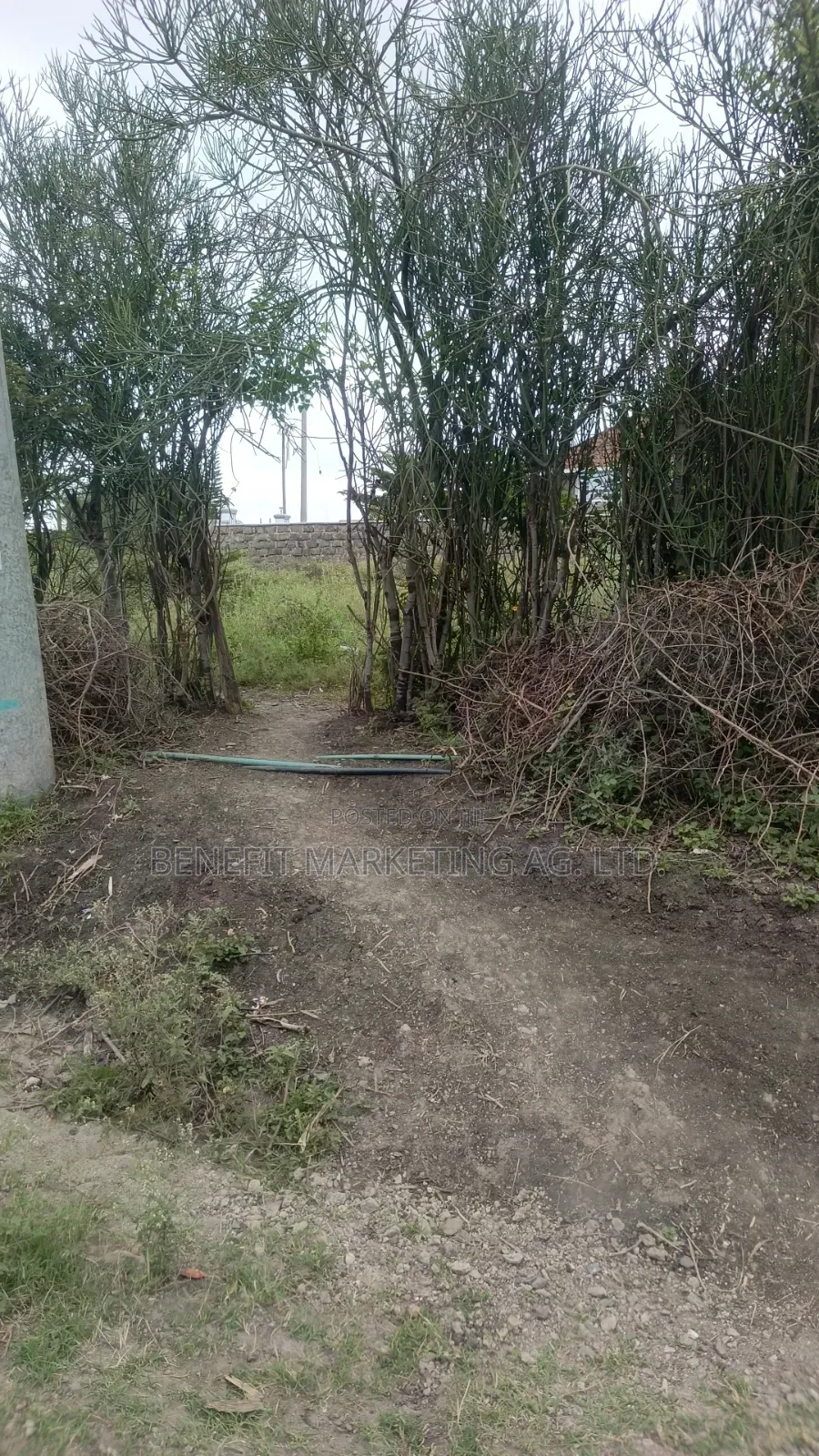 Quarter Acre Plots for Sale in Kitengela Milimani in Kitengela
