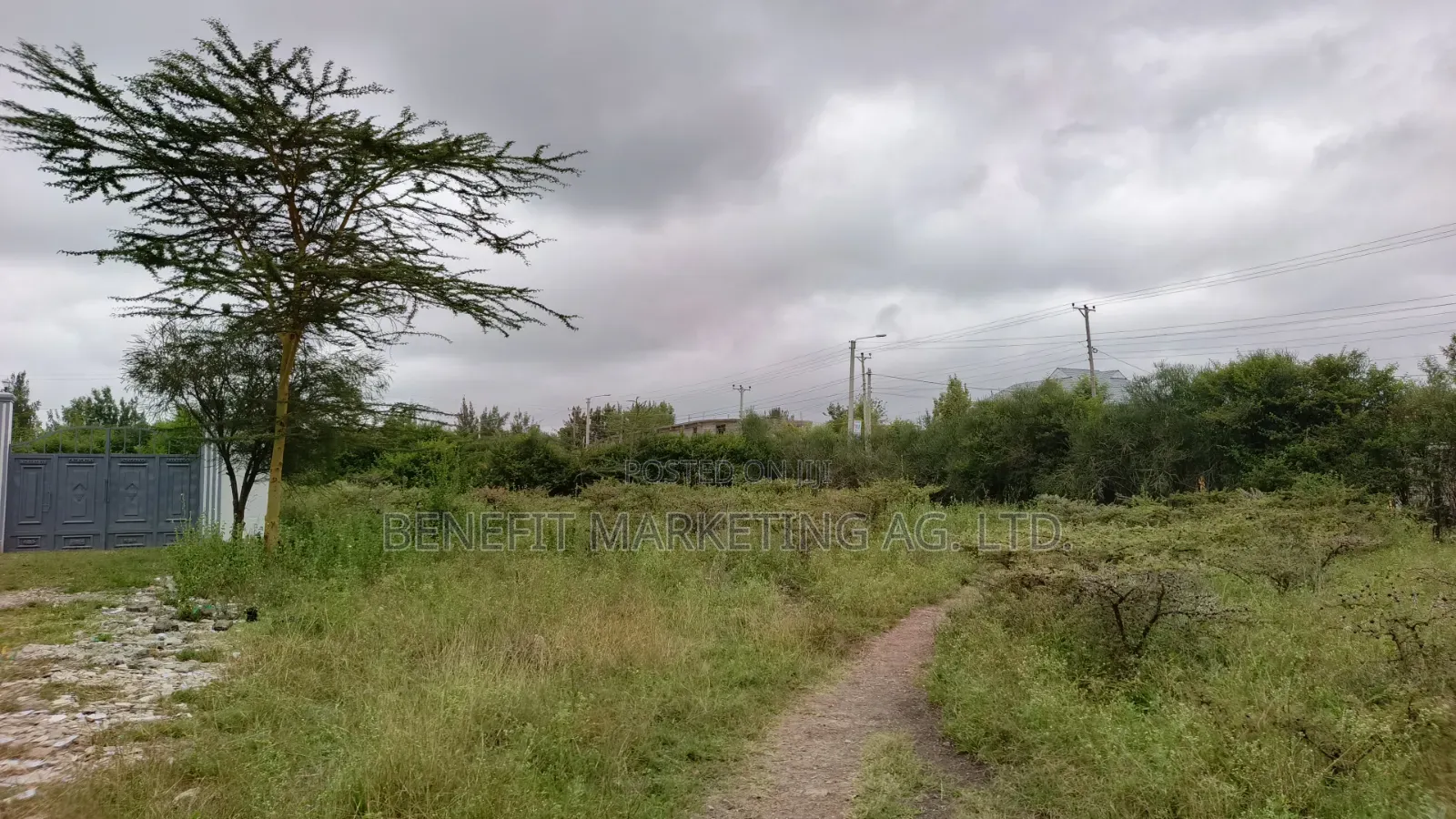 Quarter Acre Plots for Sale in Kitengela Milimani in Kitengela