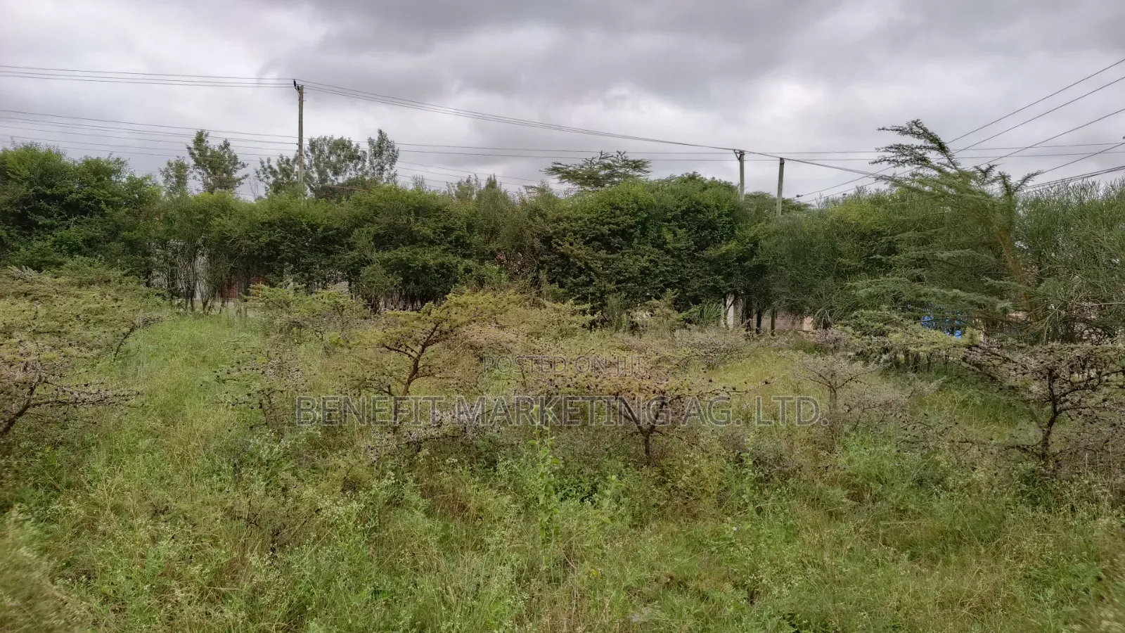 Quarter Acre Plots for Sale in Kitengela Milimani in Kitengela
