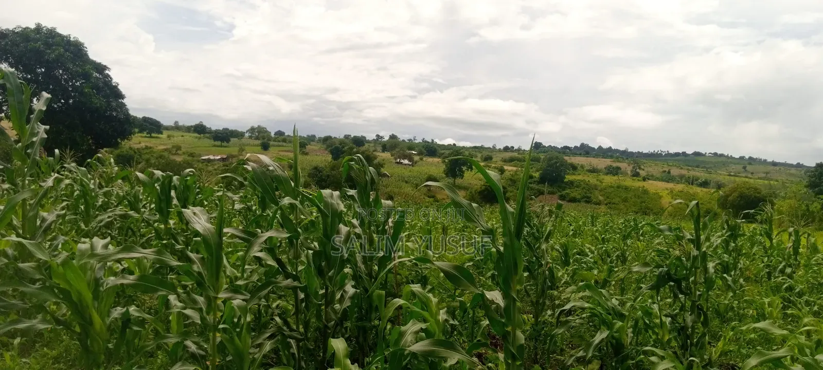 Land on Sale Kwale Count Kundutsi 6,5acre 750 Per Acre in Tsimba Golini