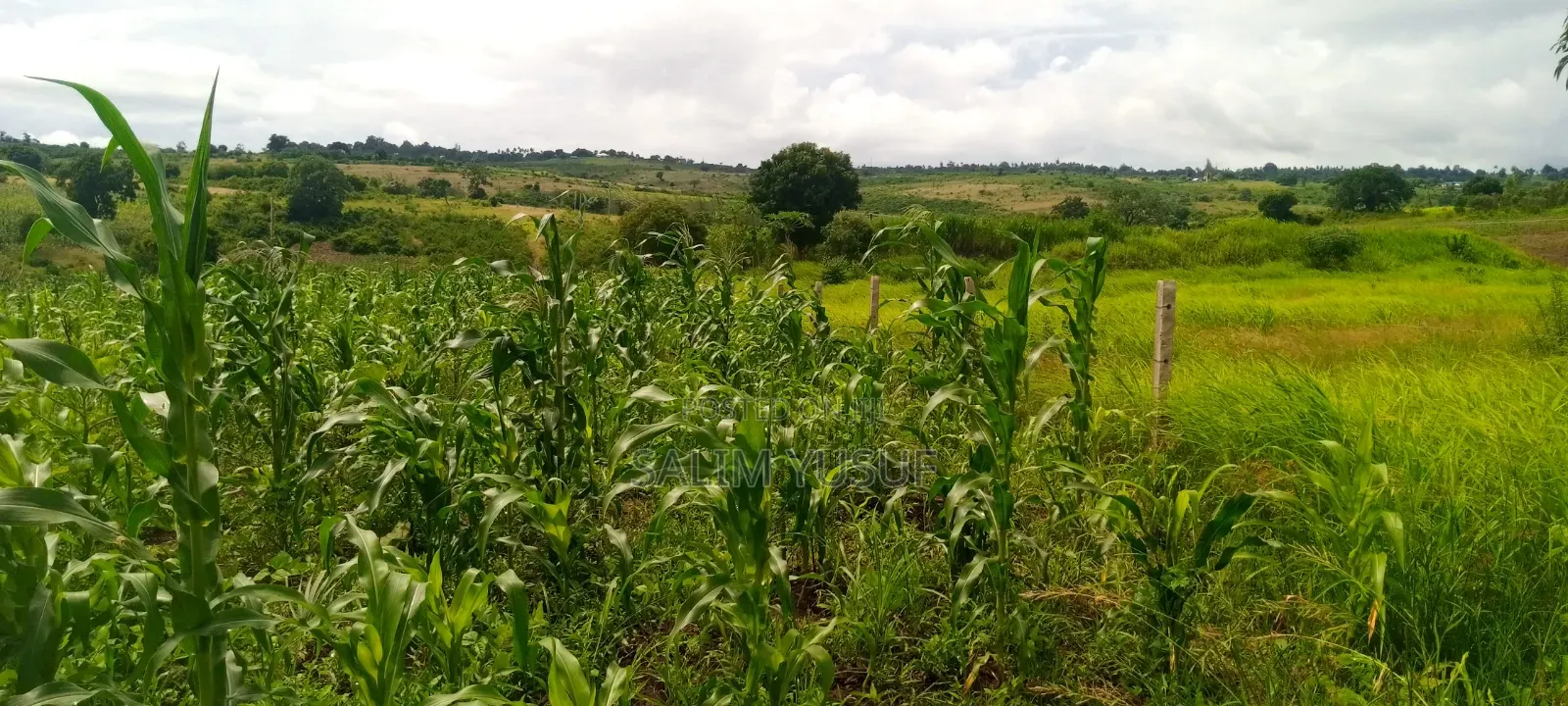 Land on Sale Kwale Count Kundutsi 6,5acre 750 Per Acre in Tsimba Golini