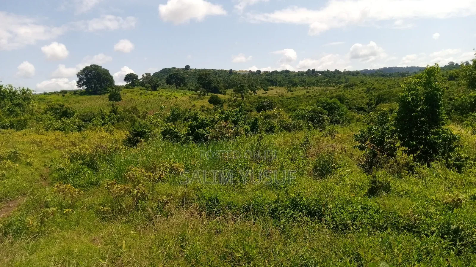 Land Ok Sale 28aces Kwale Kundutsi 1m Per Acre in Tsimba Golini
