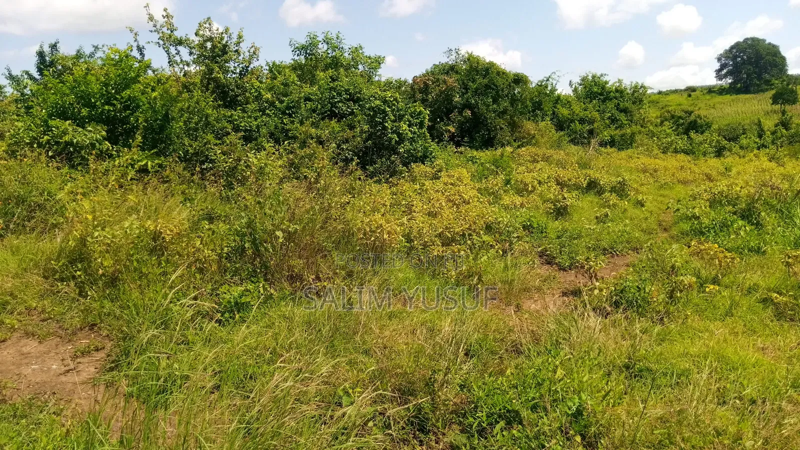 Land Ok Sale 28aces Kwale Kundutsi 1m Per Acre in Tsimba Golini
