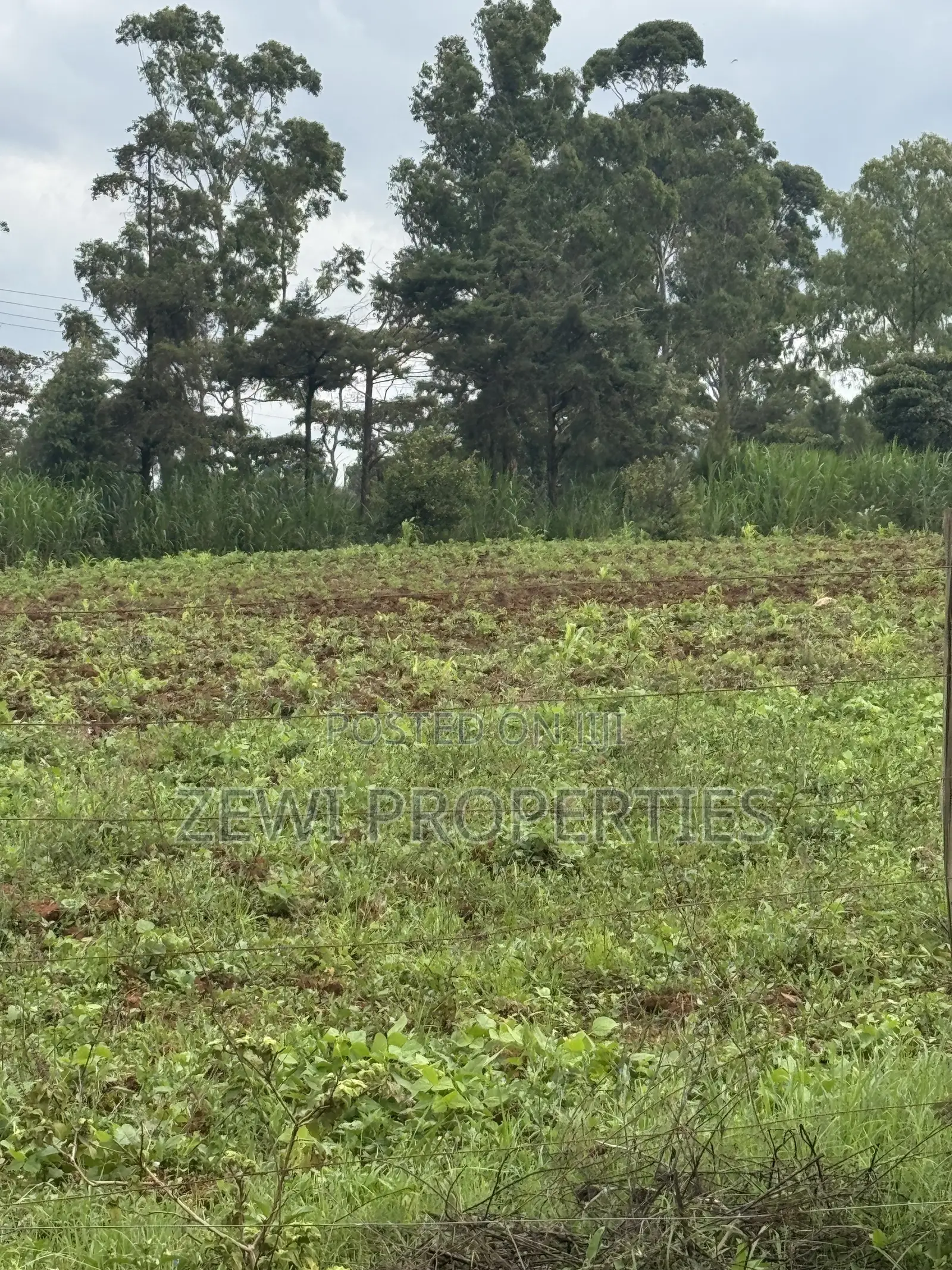 Prime Half Acre Nkoroi in Nkoroi