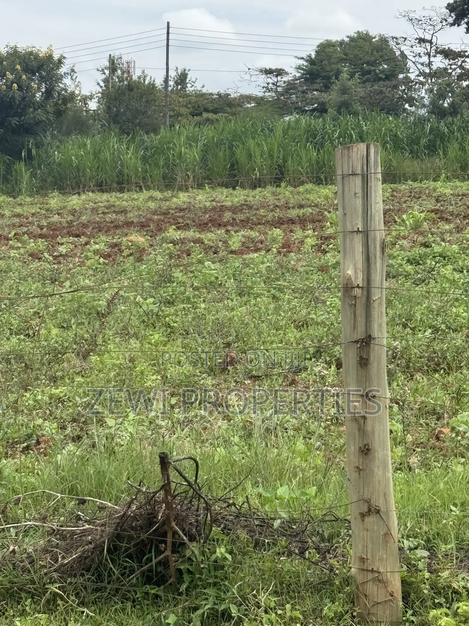 Prime Half Acre Nkoroi in Nkoroi