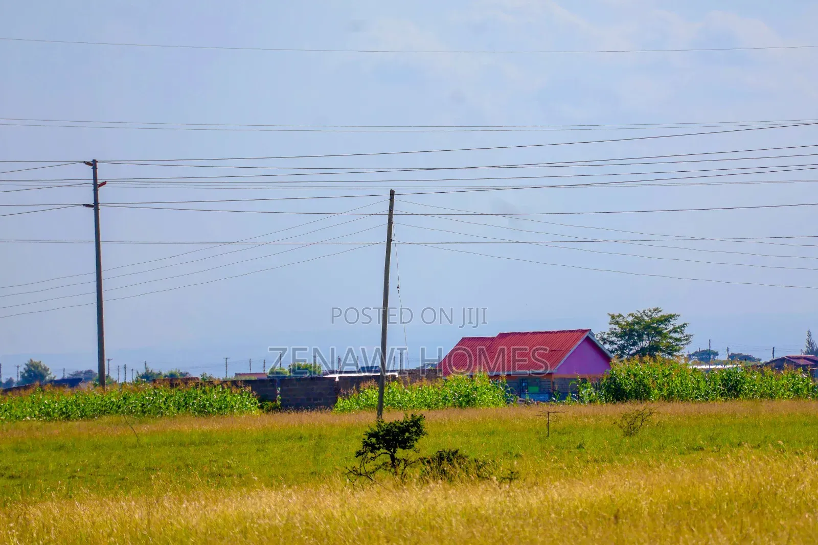Build Ypur Future Now Jr in Witeithie