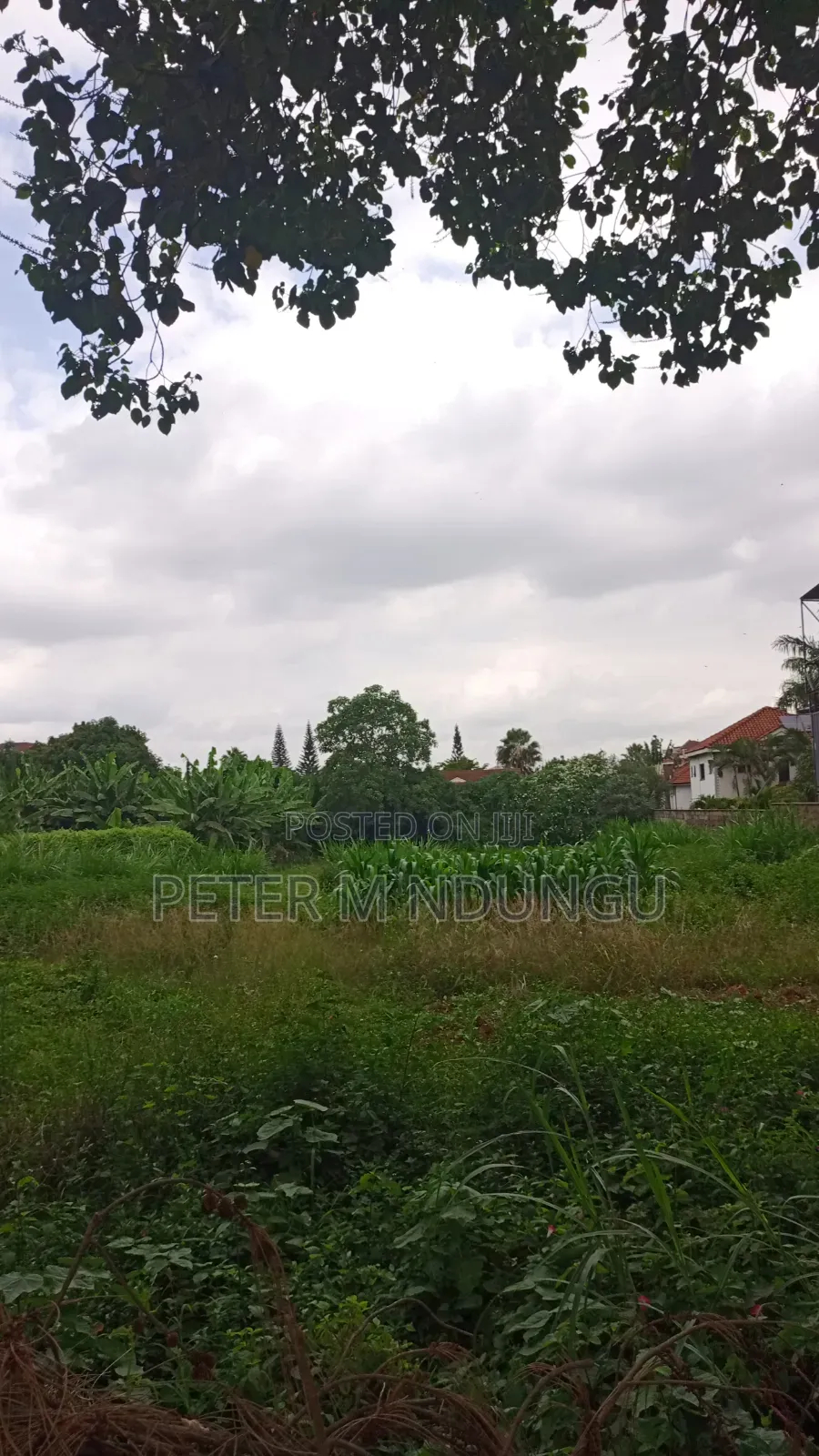 Thome 1- Prime Residential 1/2 Acre on Sale, Red Soil in Nairobi Central