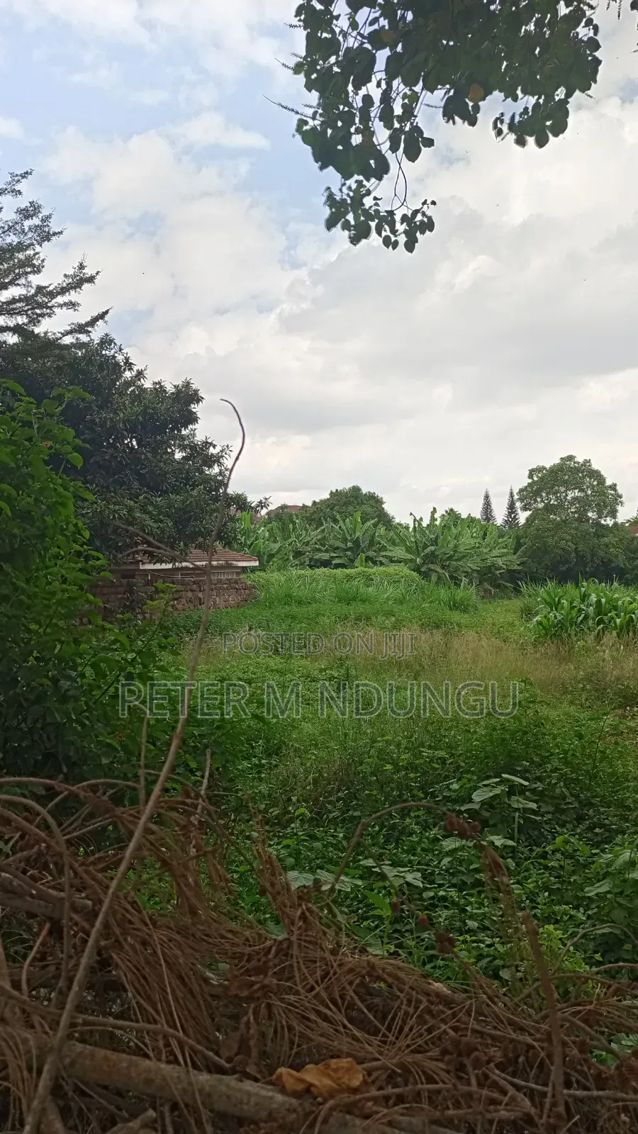Thome 1- Prime Residential 1/2 Acre on Sale, Red Soil in Nairobi Central