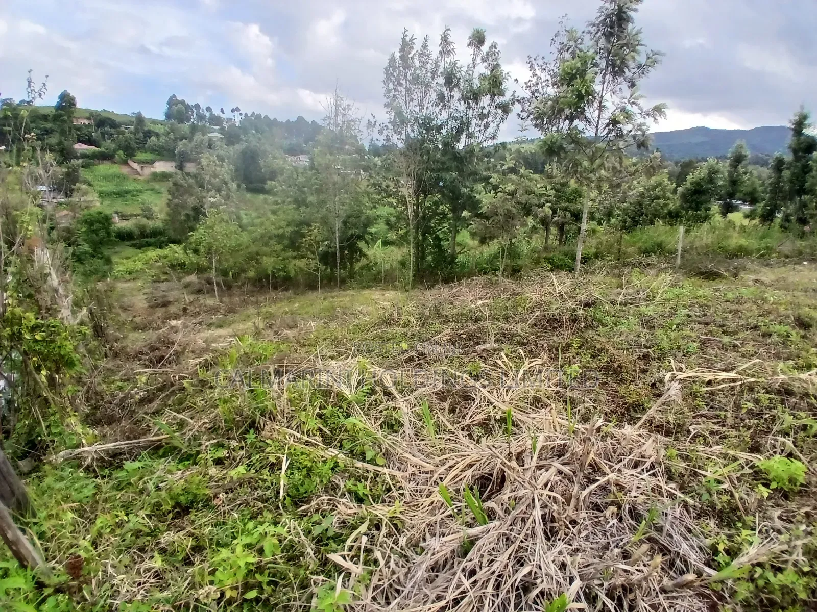 Prime Quarter Acre Plot in Upper Matasia 1.2kms Off Tarmac in Matasia