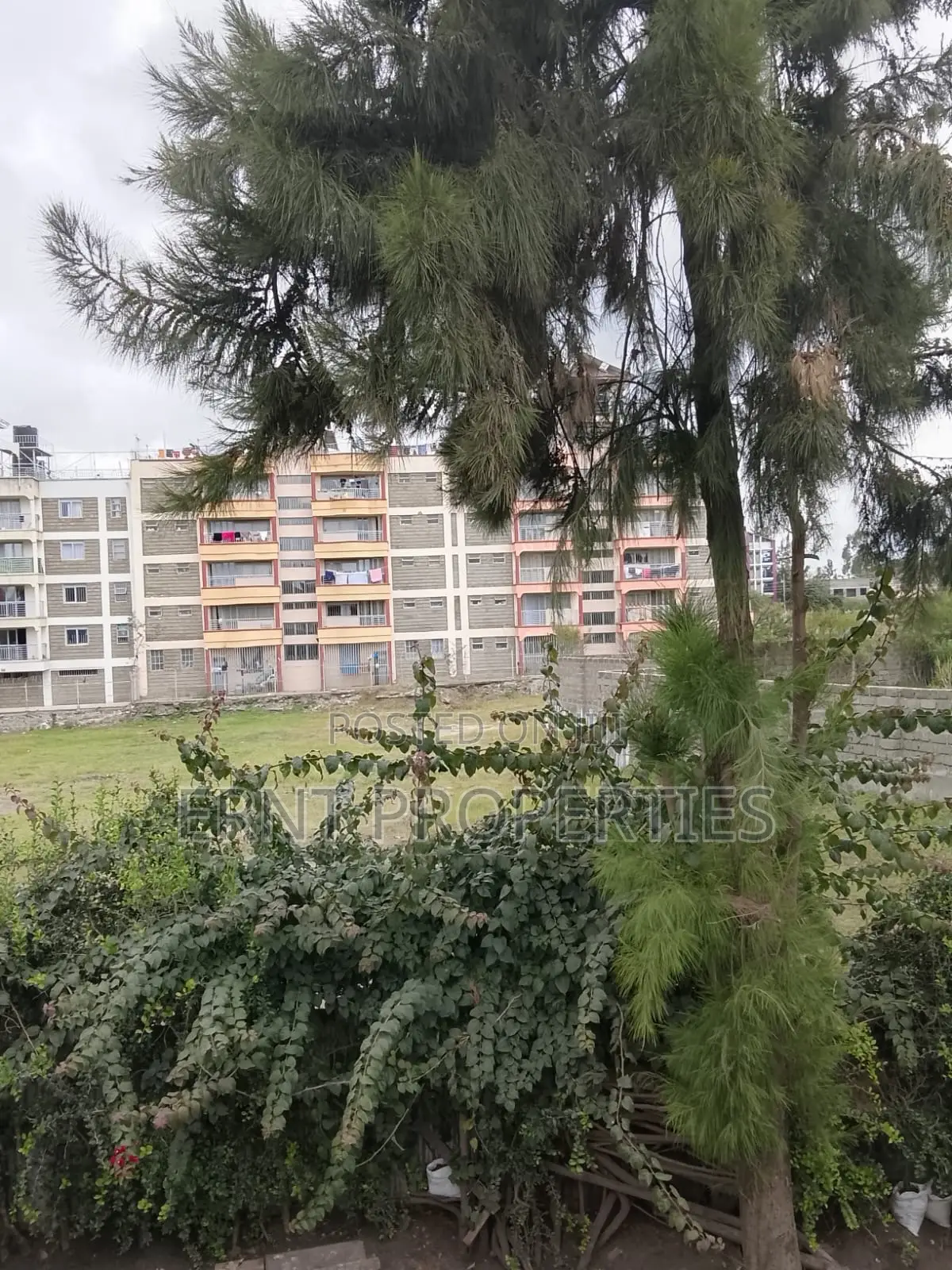 Prime 50x100 With Existing Units in Kitengela