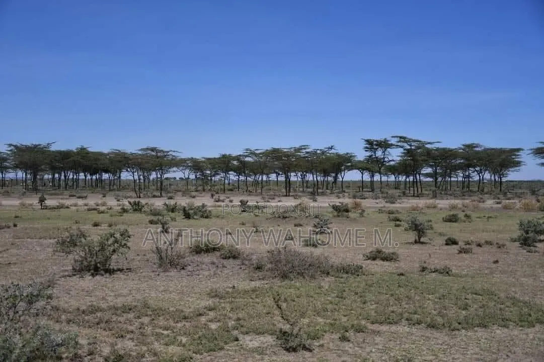 Nanyuki 1/8ac Prime Plots 1.4km From Rumuruti Rd(To Be Tarmacked) in Nanyuki