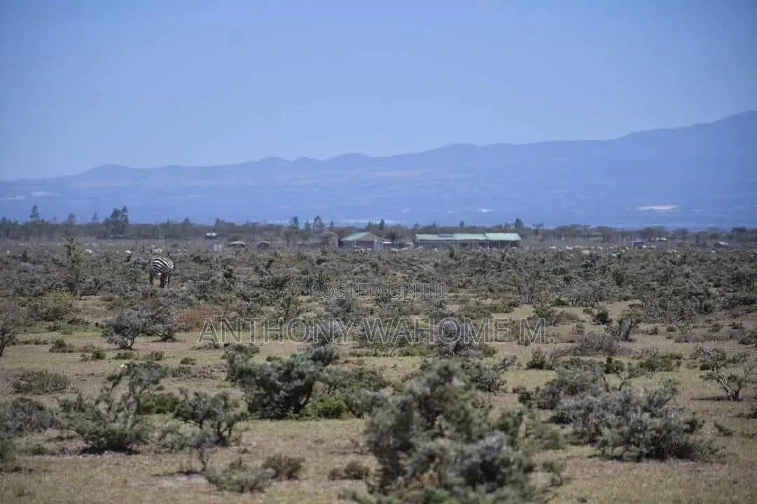 Nanyuki 1/8ac Prime Plots 1.4km From Rumuruti Rd(To Be Tarmacked) in Nanyuki