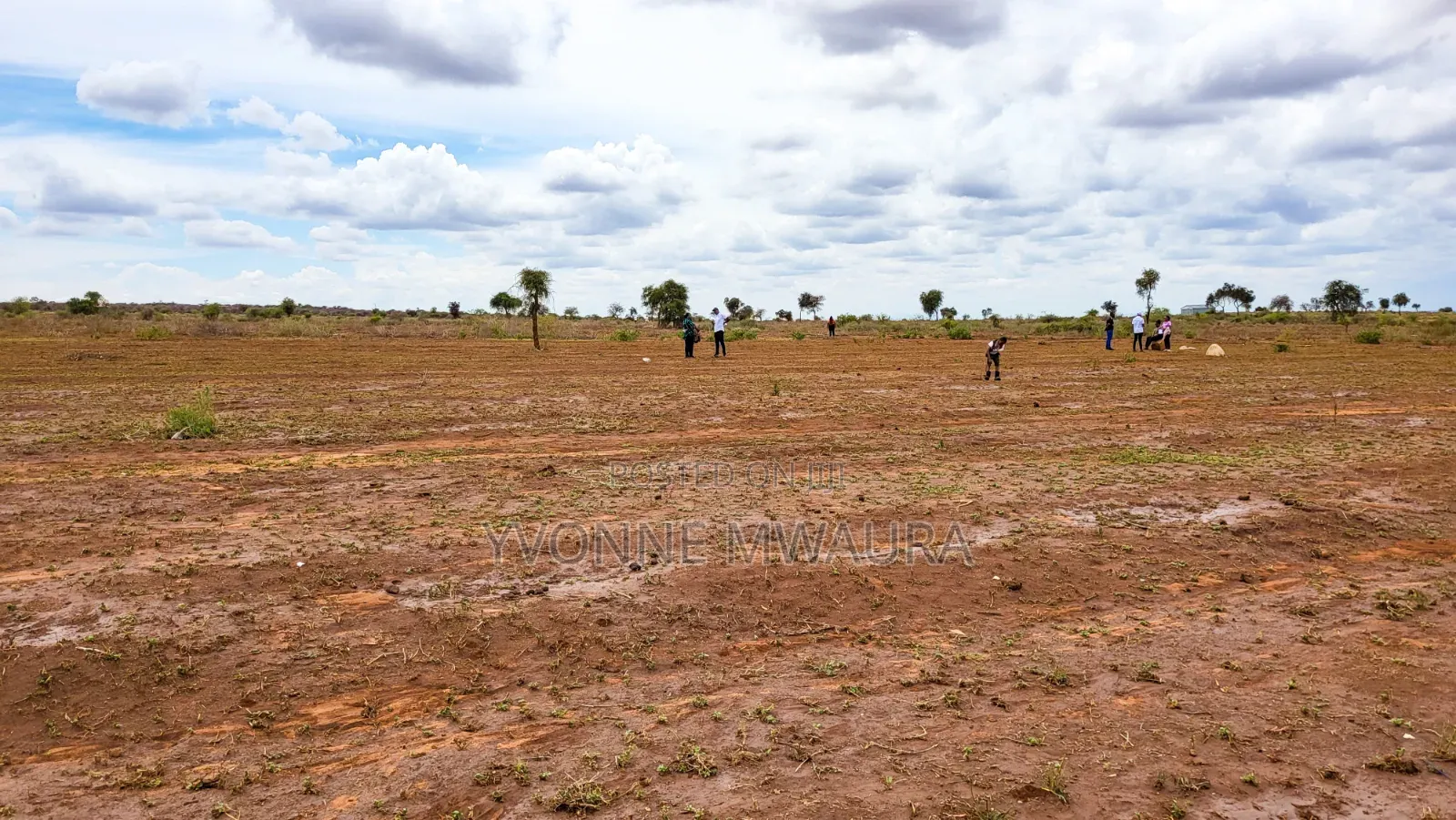 Plots for Sale in Imbirikani Loitoktok Road in Loitoktok