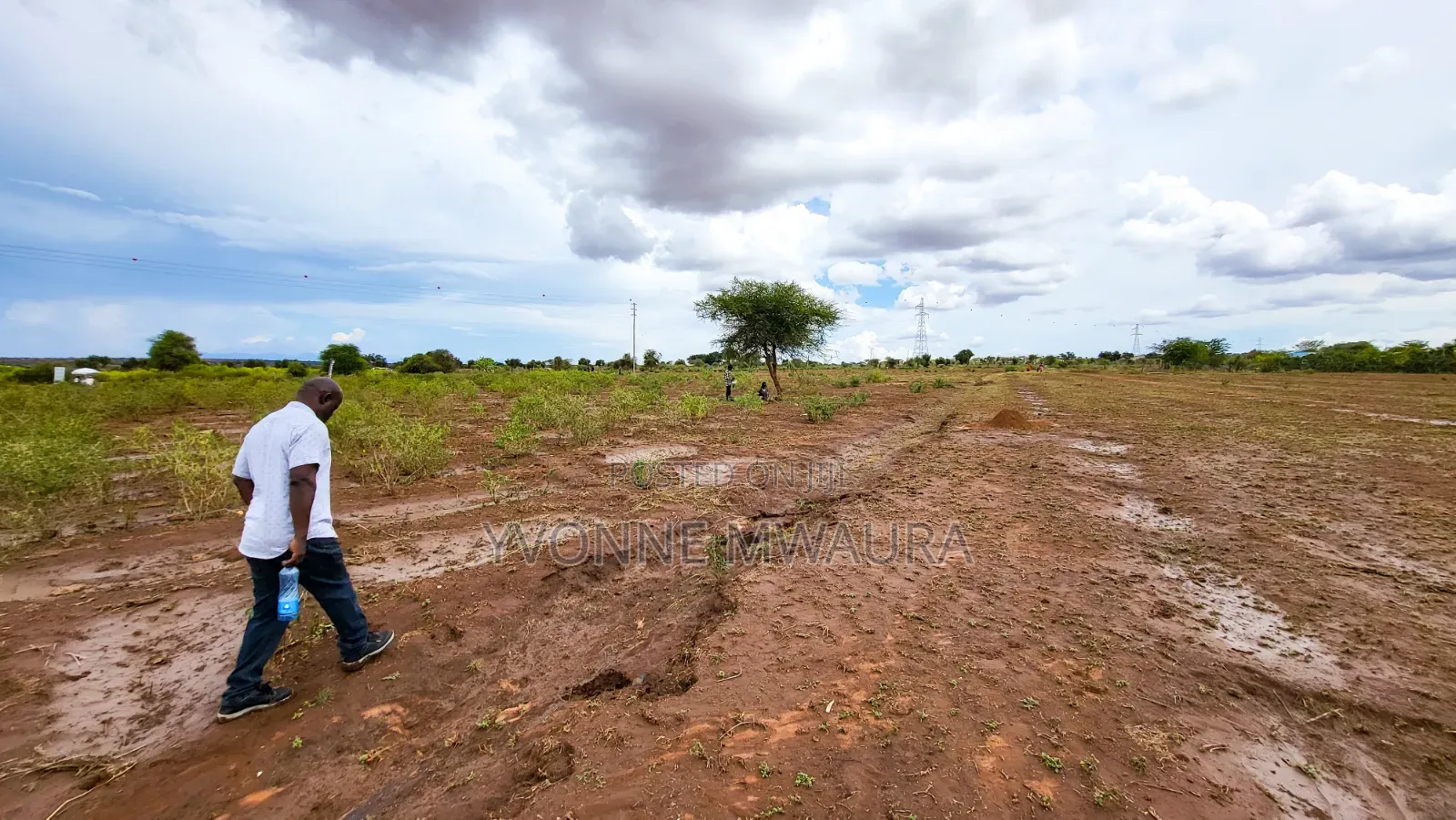 Plots for Sale in Imbirikani Loitoktok Road in Loitoktok