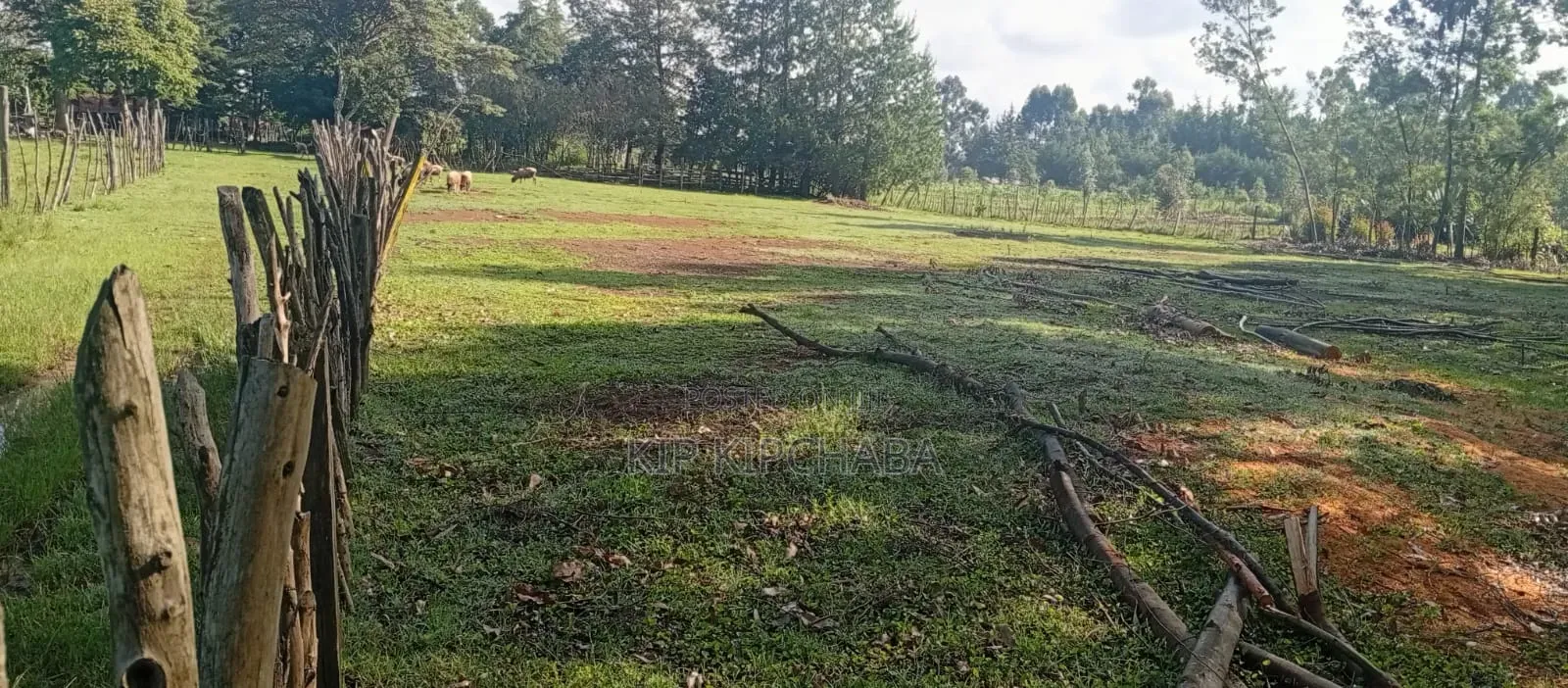 3 Plots for Sale in Ngeria Mugundoi Eldoret in Racecourse