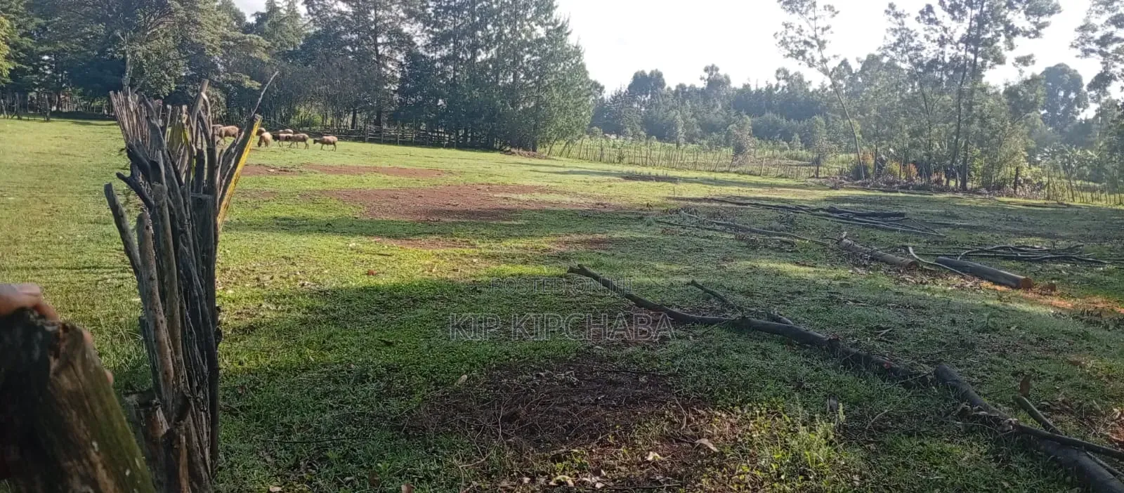 3 Plots for Sale in Ngeria Mugundoi Eldoret in Racecourse