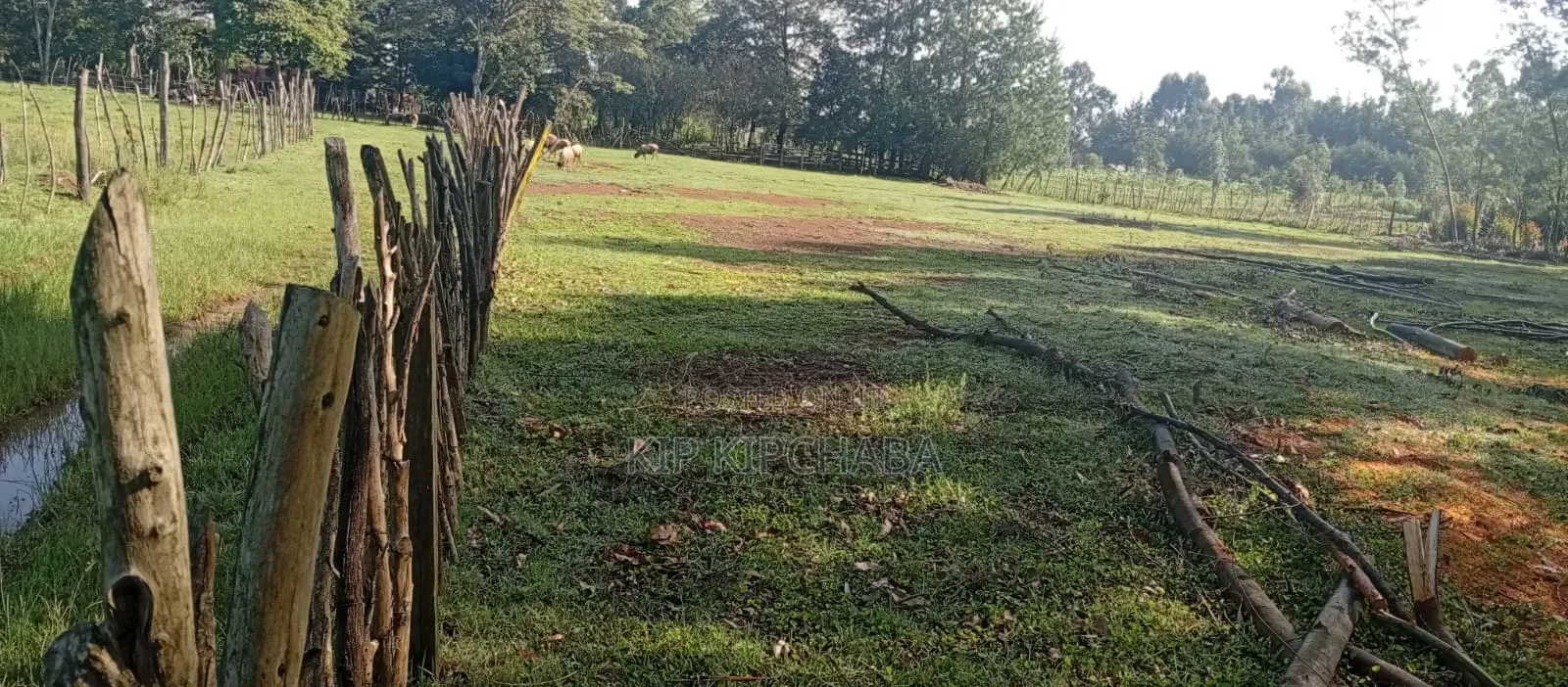 3 Plots for Sale in Ngeria Mugundoi Eldoret in Racecourse
