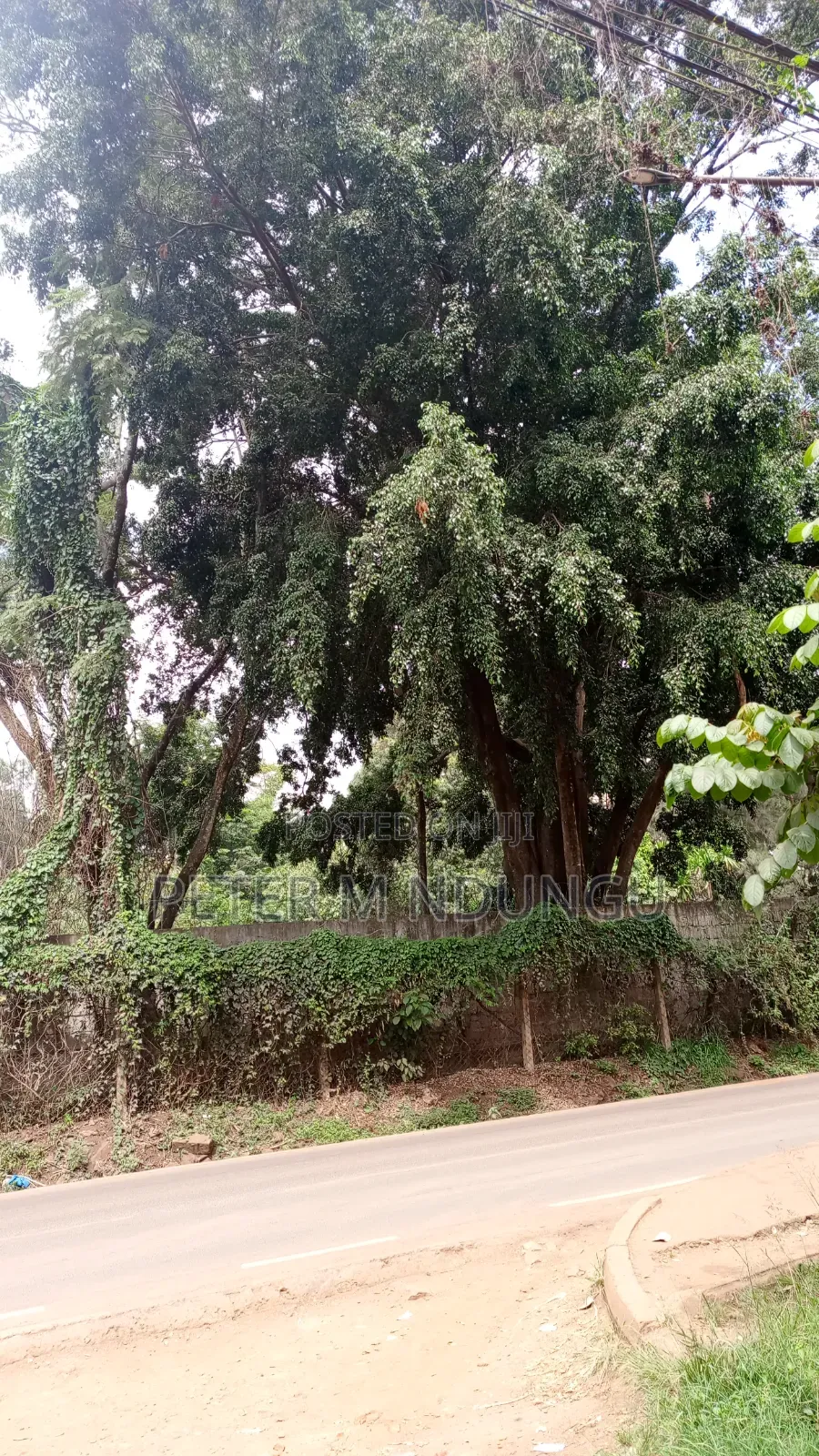 Kasarani- Safari Park, Prime Commercial 5 Acres on Sale in Nairobi Central