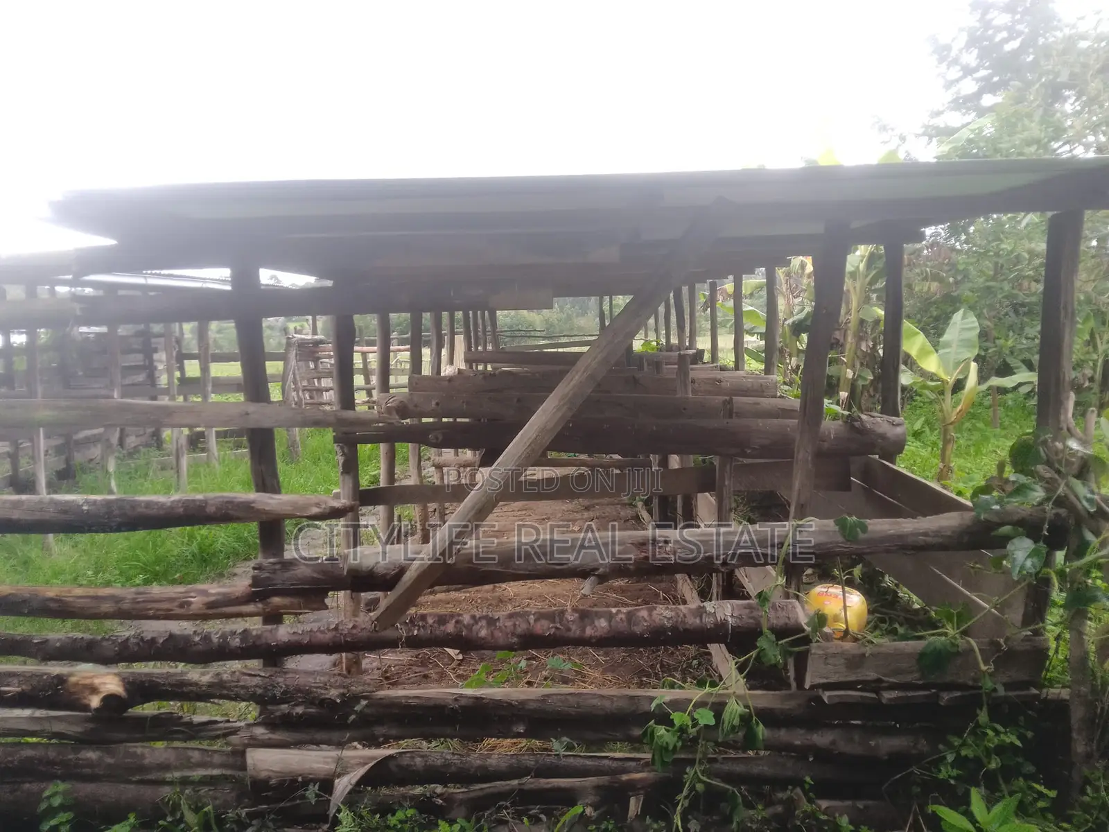 Kipipiri Nyandarua County, 4.5 Acres Agriculture Farm in Kipipiri