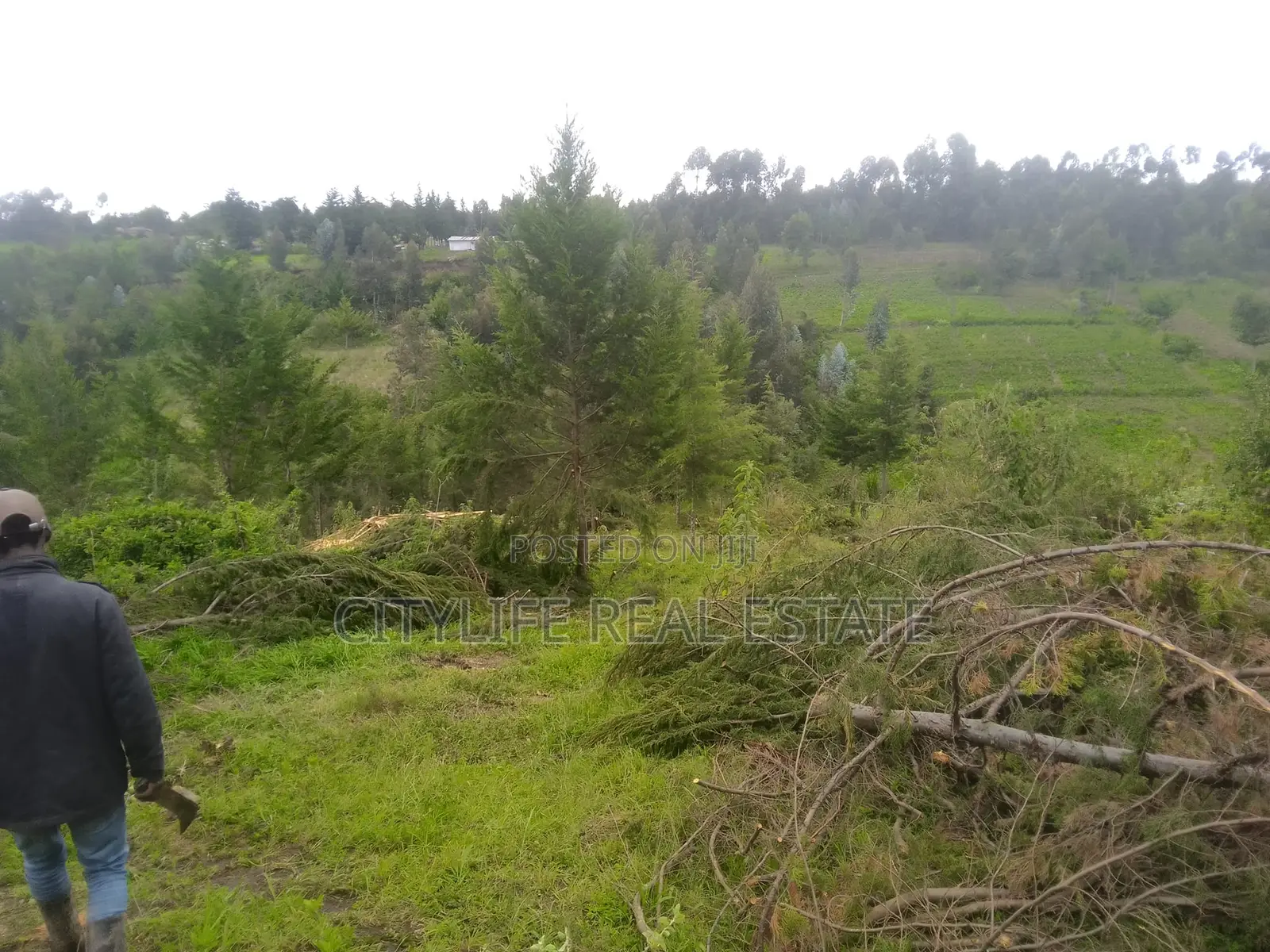 Kipipiri Nyandarua County, 4.5 Acres Agriculture Farm in Kipipiri
