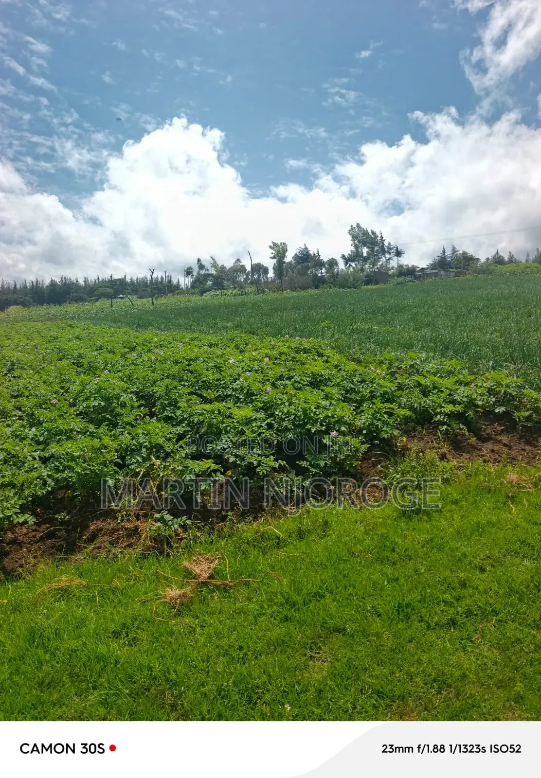 1⁄2 Acre Kinungi,( Munyu Area) in Kinungi