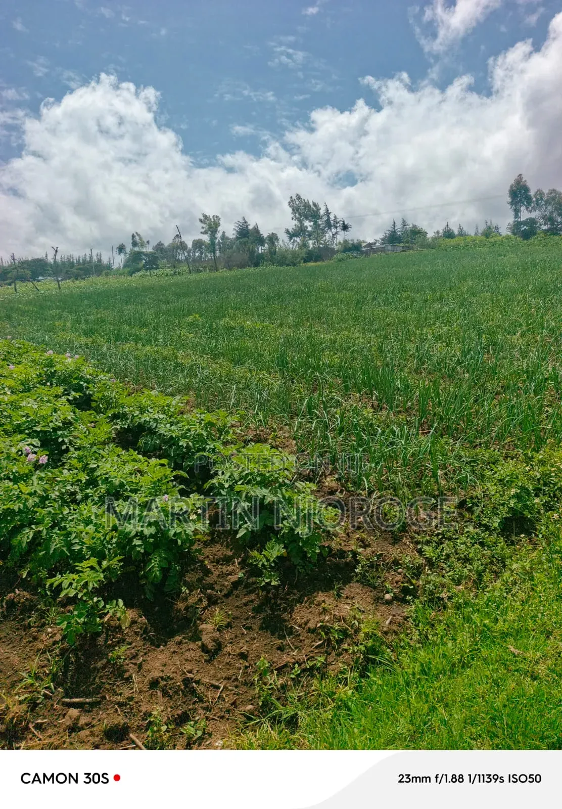 1⁄2 Acre Kinungi,( Munyu Area) in Kinungi