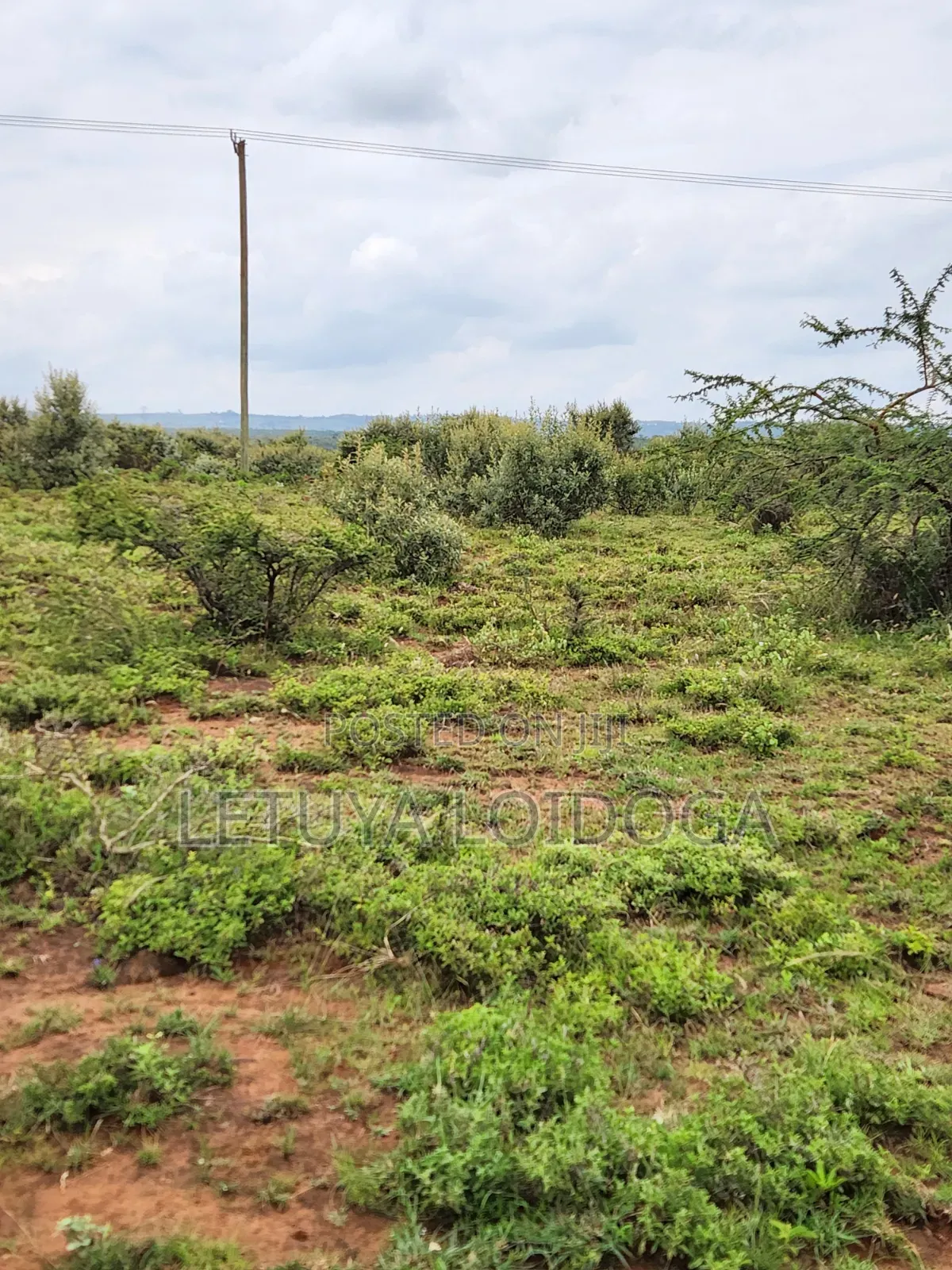 Prime Affordable 1⁄8 Acre Plots Ngong-Kimuka in Kibiku