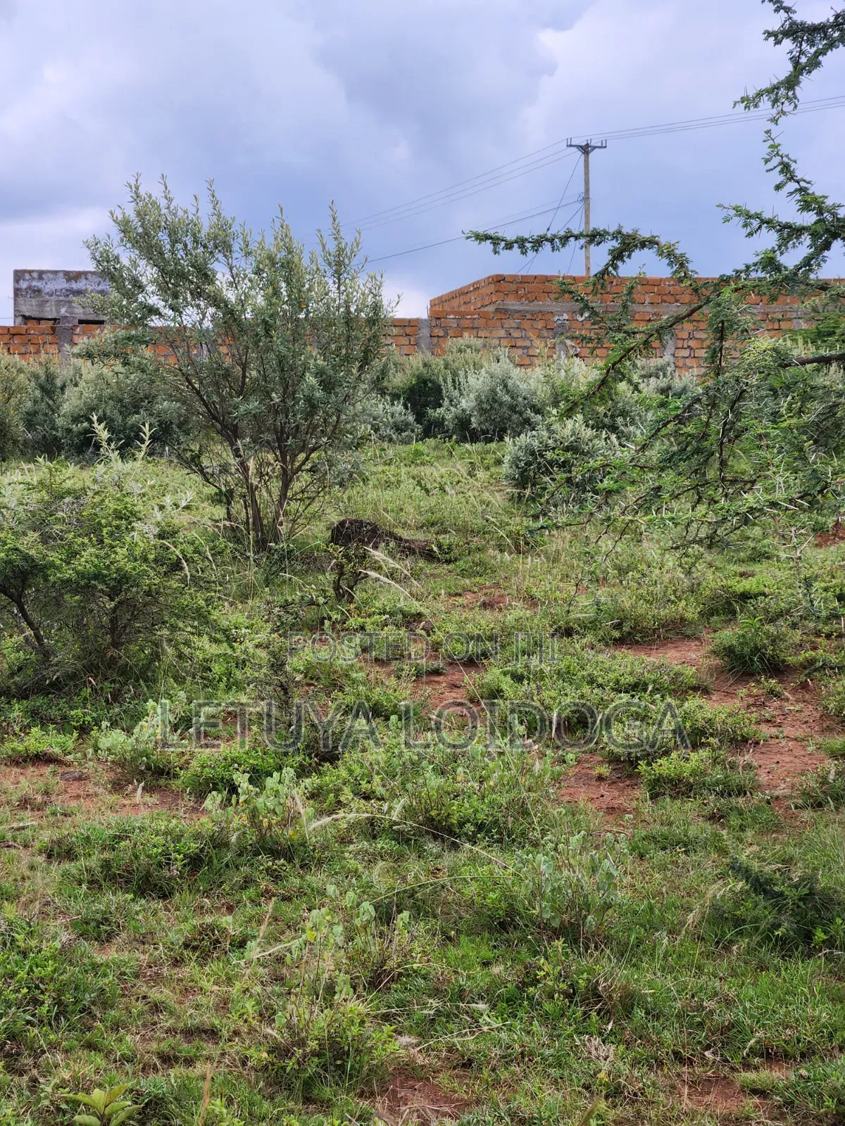 Prime Affordable 1⁄8 Acre Plots Ngong-Kimuka in Kibiku