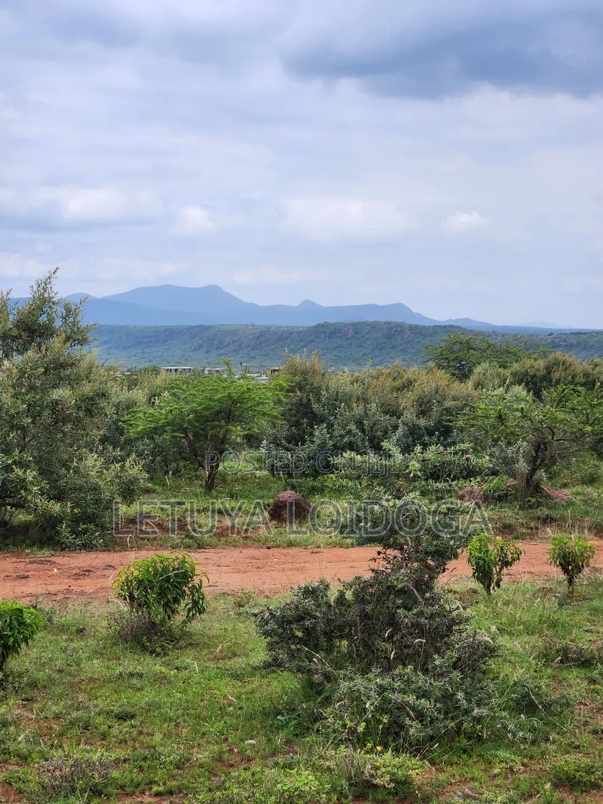 Prime Affordable 1⁄8 Acre Plots Ngong-Kimuka in Kibiku