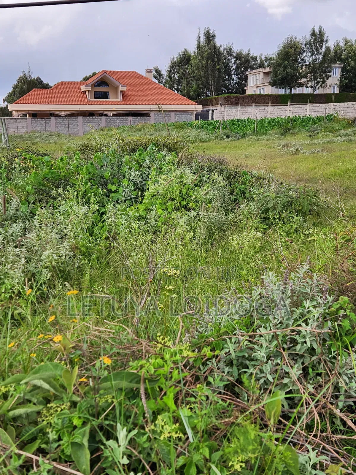Prime 1⁄4 Acre Plots Ngong-Kibiko in Kibiku